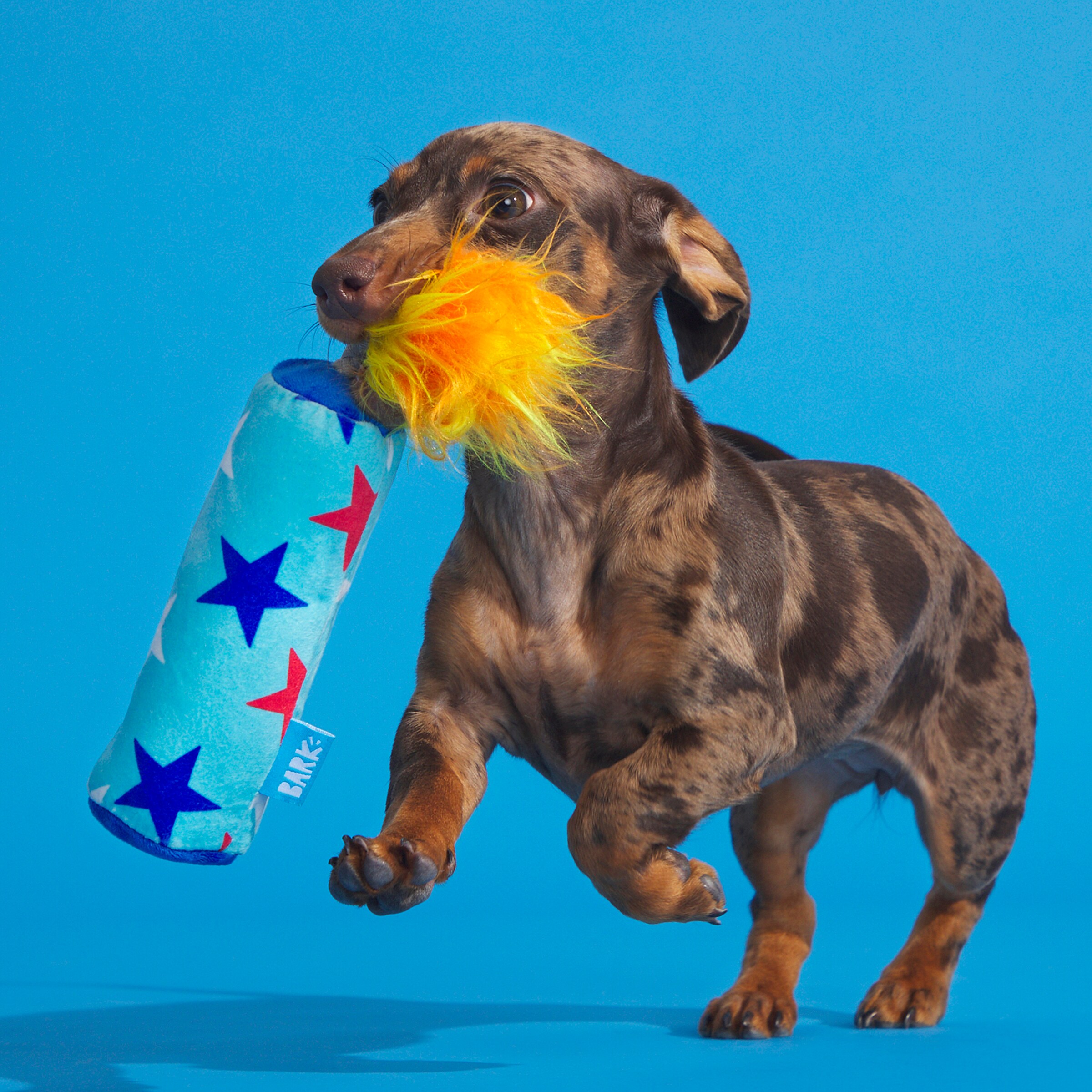 BARK 214270 Dog-Toys - View #4