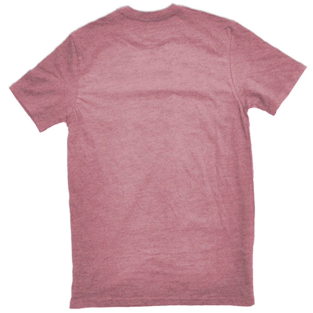 SFPL-13546 HRL 2X Tops-Shirts - View #3