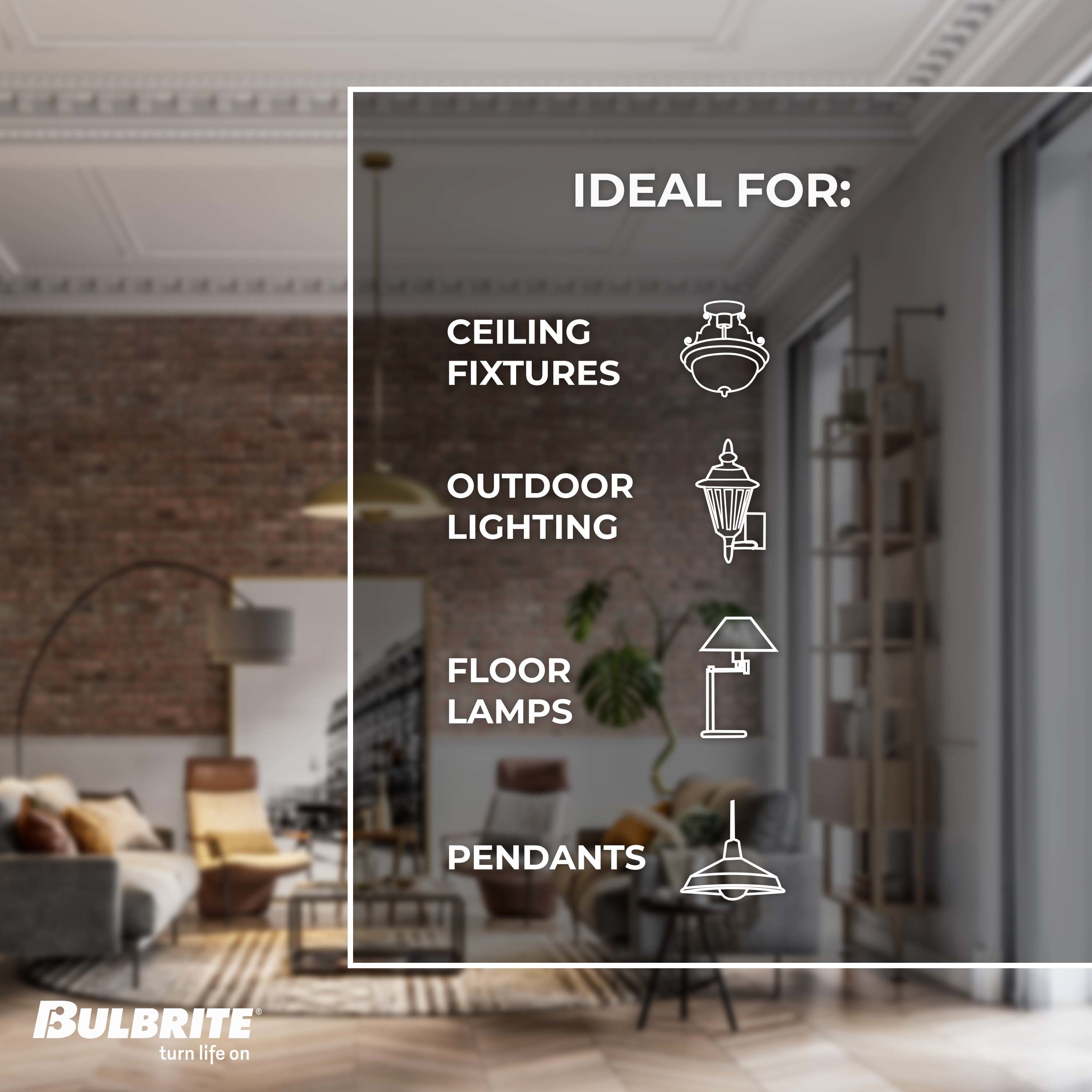 Bulbrite 861230 Dec-Led-Light-Bulbs - View #5