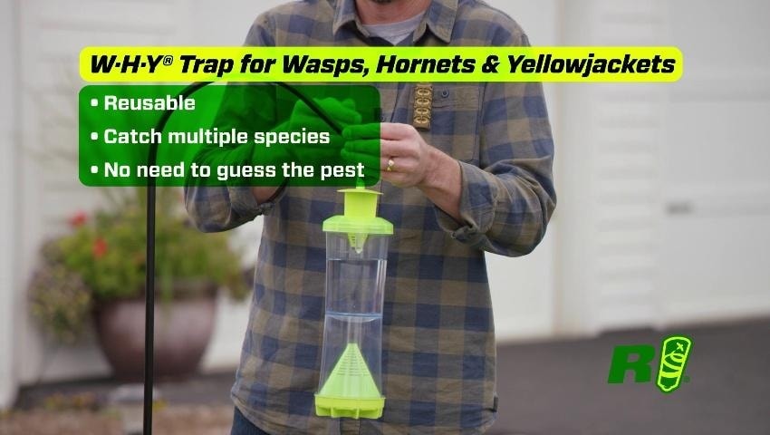 A thumbnail for the video