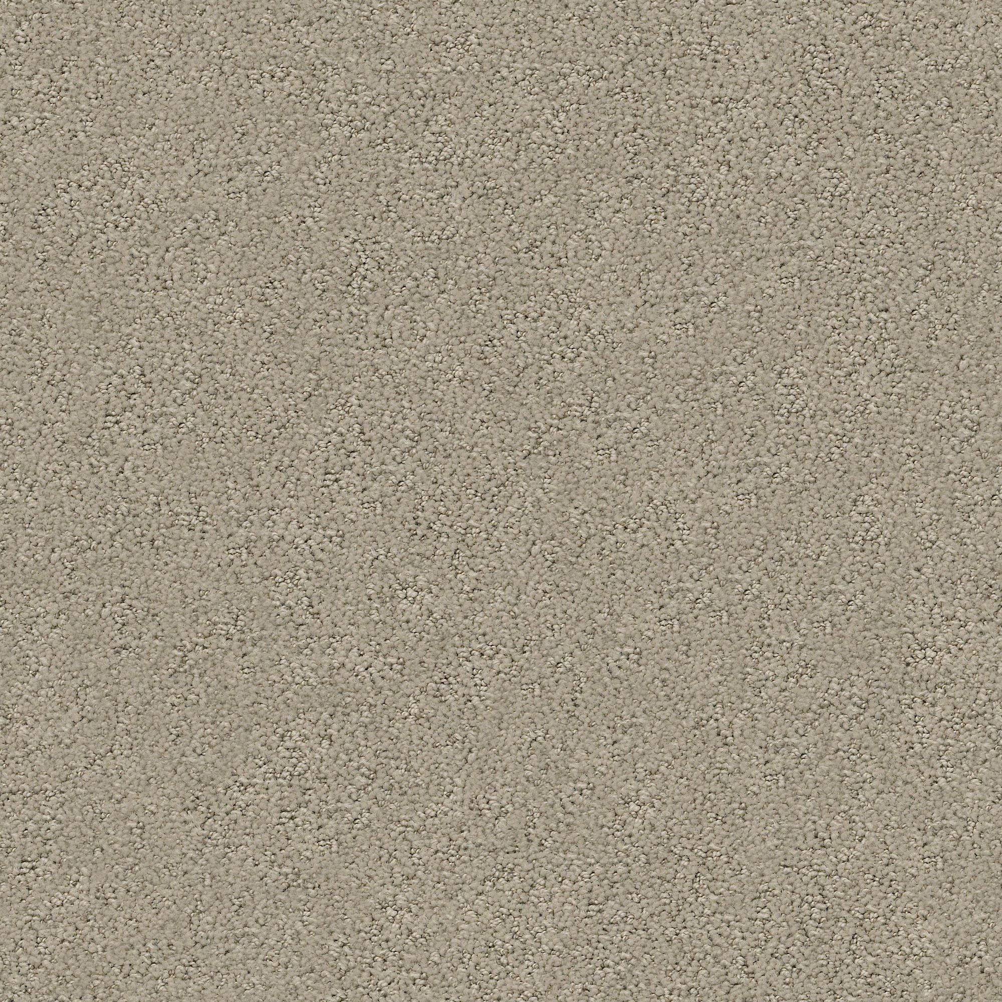 STAINMASTER PetProtect 7L884 - 701 - SAMP (Sample) Happy Tails Burnished Clay Brown 29.2-oz sq yard Nylon Pattern Indoor Carpet