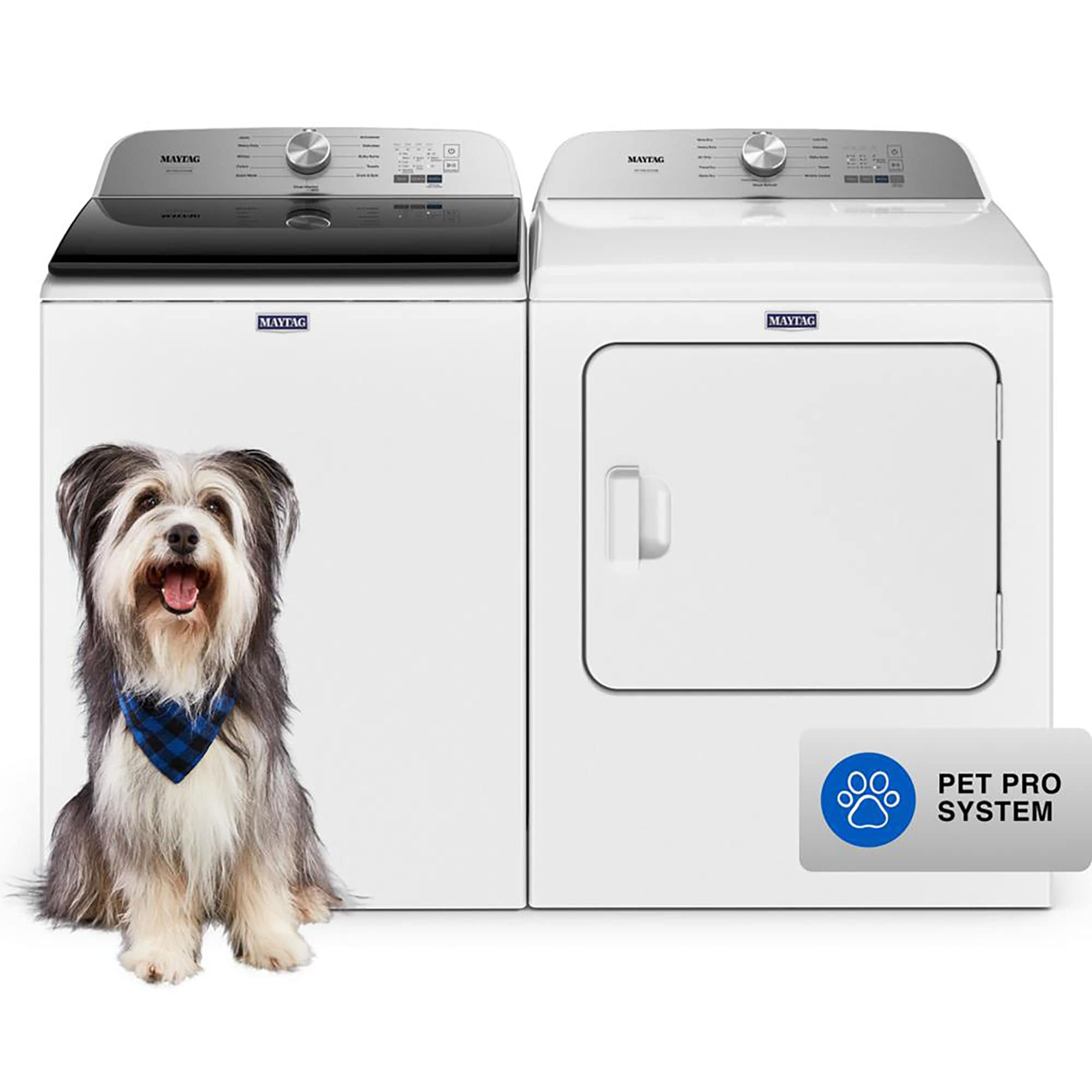 Professional dog cheap washing equipment