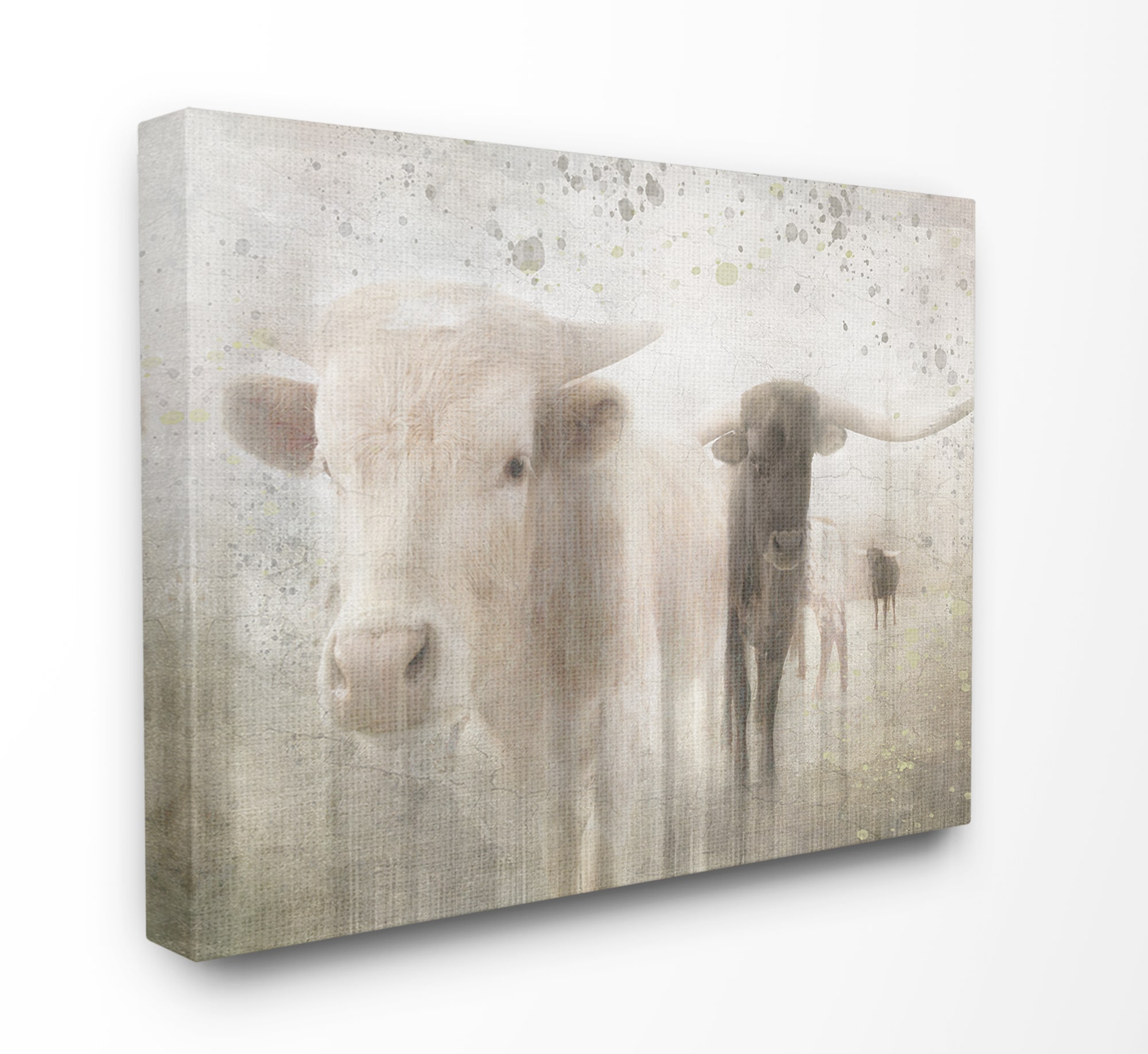 Stupell Industries AAP-263-CN-30X40 Washed Out Distressed Surface Rustic Cow Pasture Lightboxjournal 40-in H x 30-in W Animals Print on Canvas