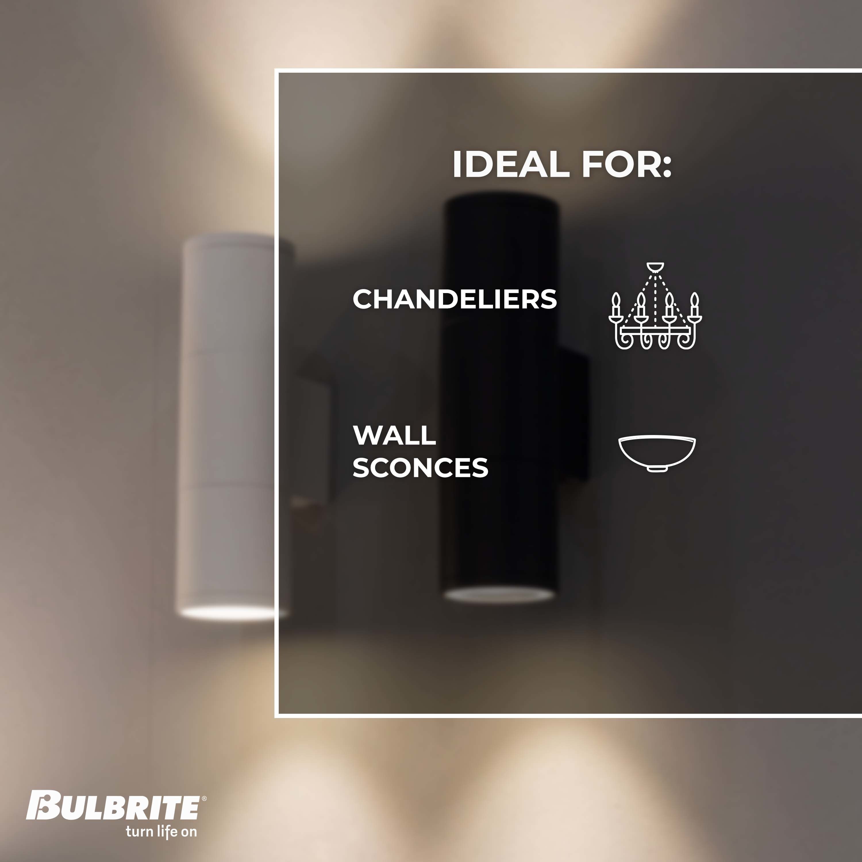 Bulbrite 861365 Dec-Led-Light-Bulbs - View #5