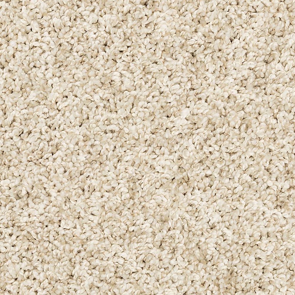 STAINMASTER SS040-L002-S0808 (Sample) Legion Lake I Custer Tan 40-oz sq yard Solution-dyed Polyester Textured Indoor Carpet