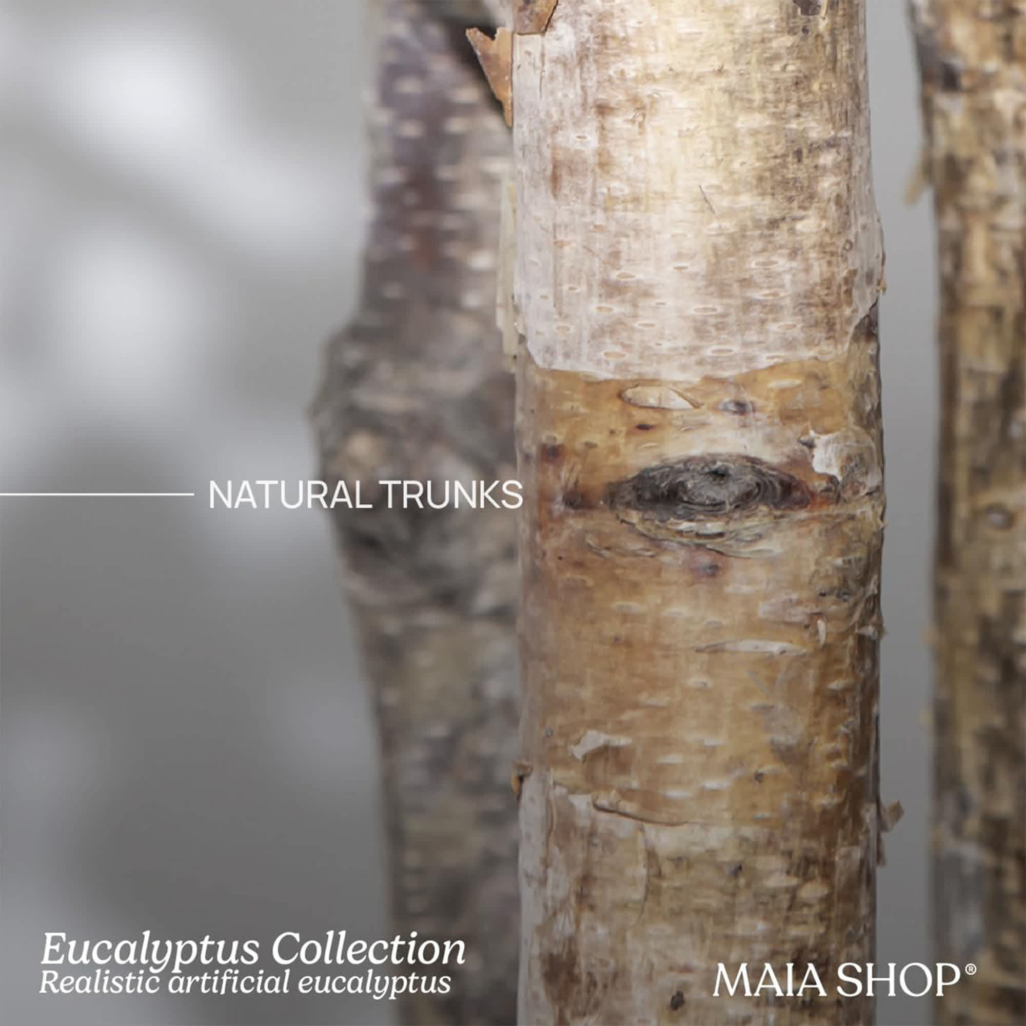 MAIA SHOP 401568 Artificial-Plants-Trees - View #4