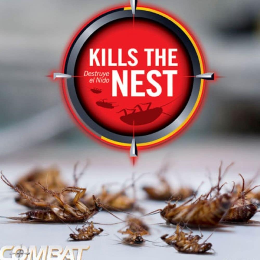 Roach Killer Indoor Infestation - 21 Roach Bait Traps | Effective German  Roach Killer for Home Infestation - Child and Pet Safe Roach Traps Indoor