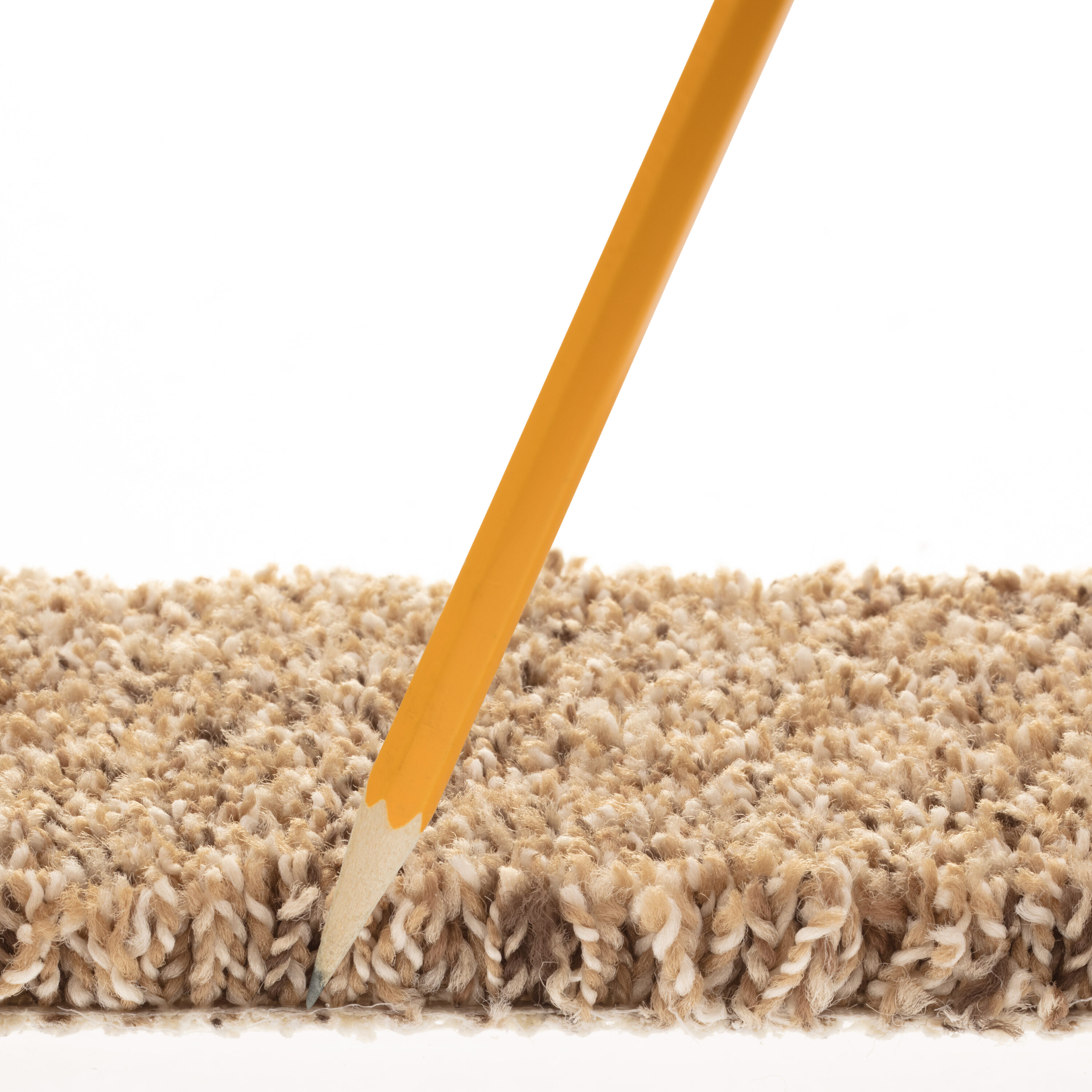 STAINMASTER 7L911 - 270 - SAMP Carpet-Samples - View #6