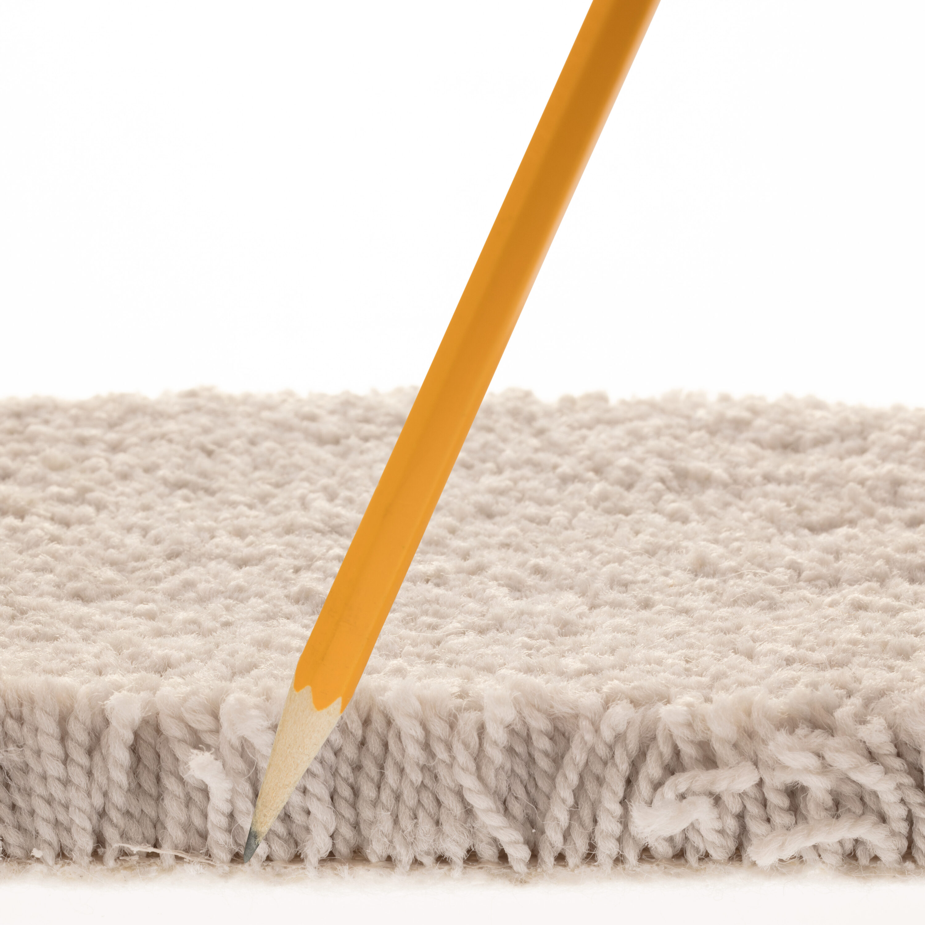 STAINMASTER PetProtect 7L88300550 Carpet-Panel - View #7