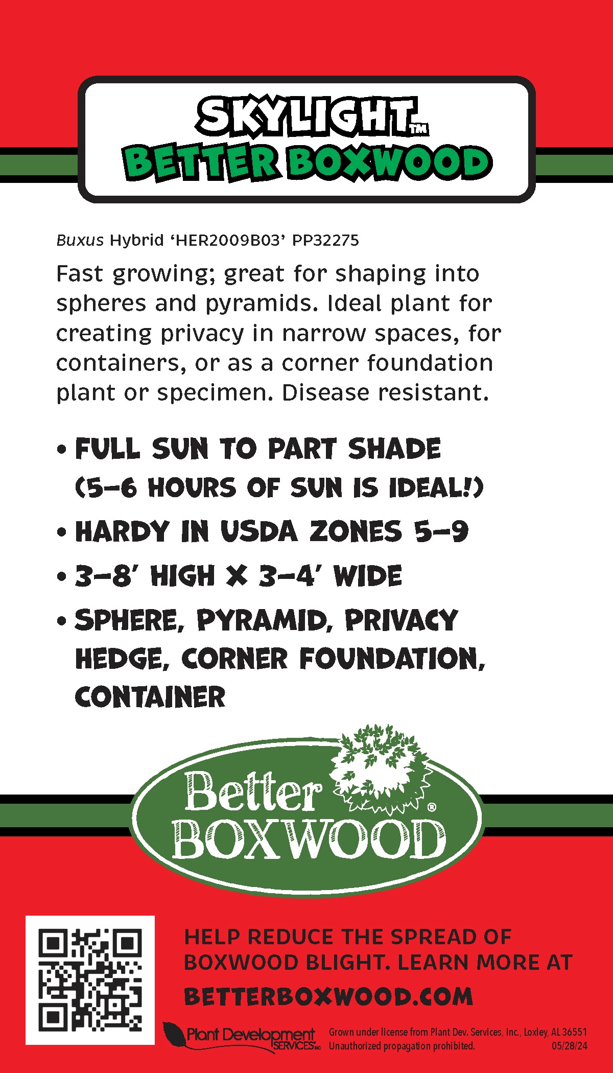Better BOXWOOD 9064Q-1 shrubs - View #7