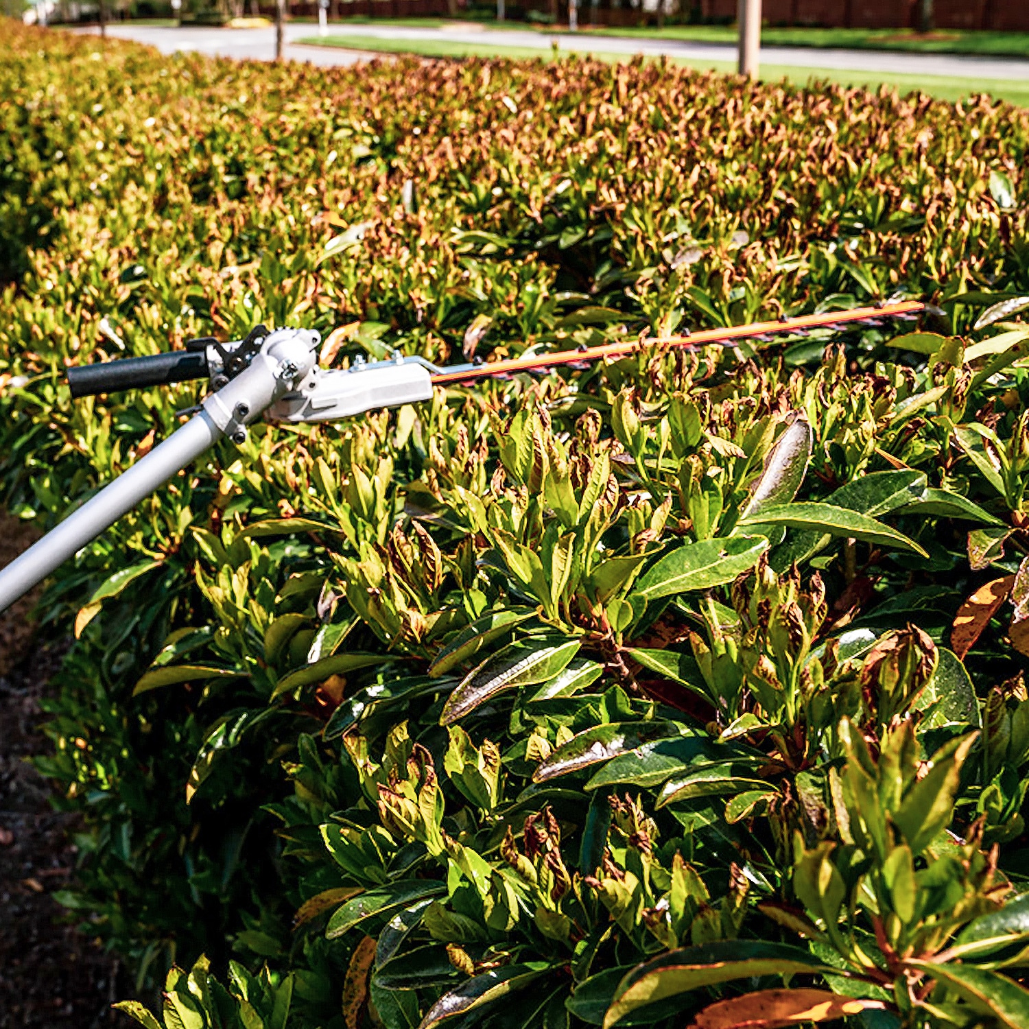 Wild Badger Power MFT26I-HEDGE-A Trimmer-Attachments - View #7