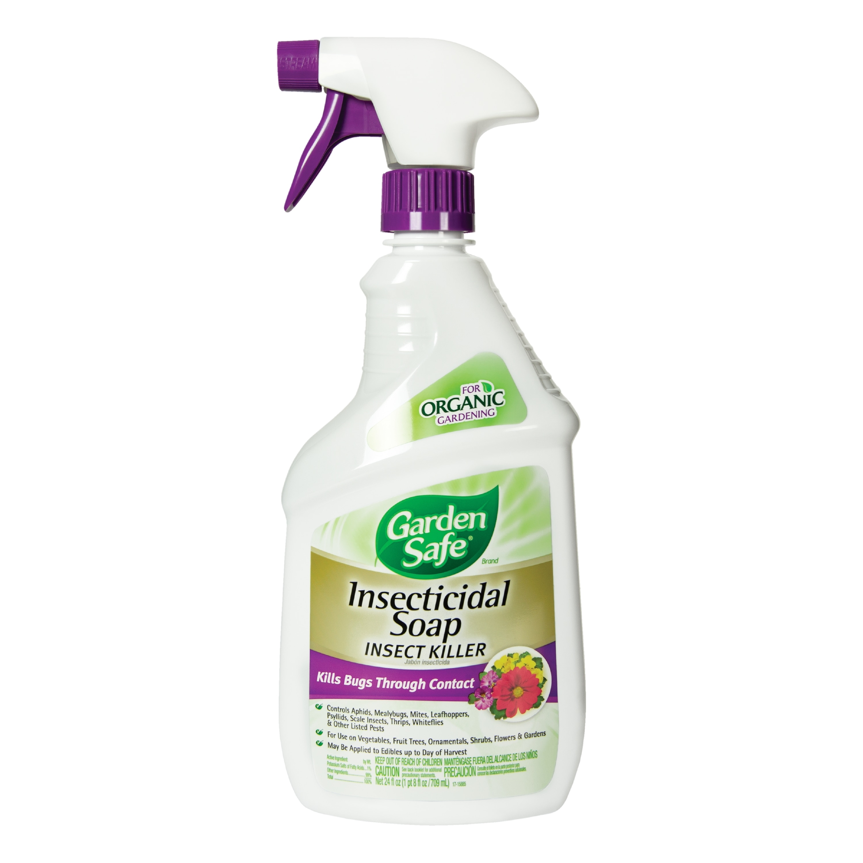 Natural insect spray for indoor plants