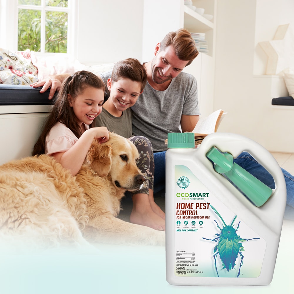 Indoor pesticides clearance safe for pets