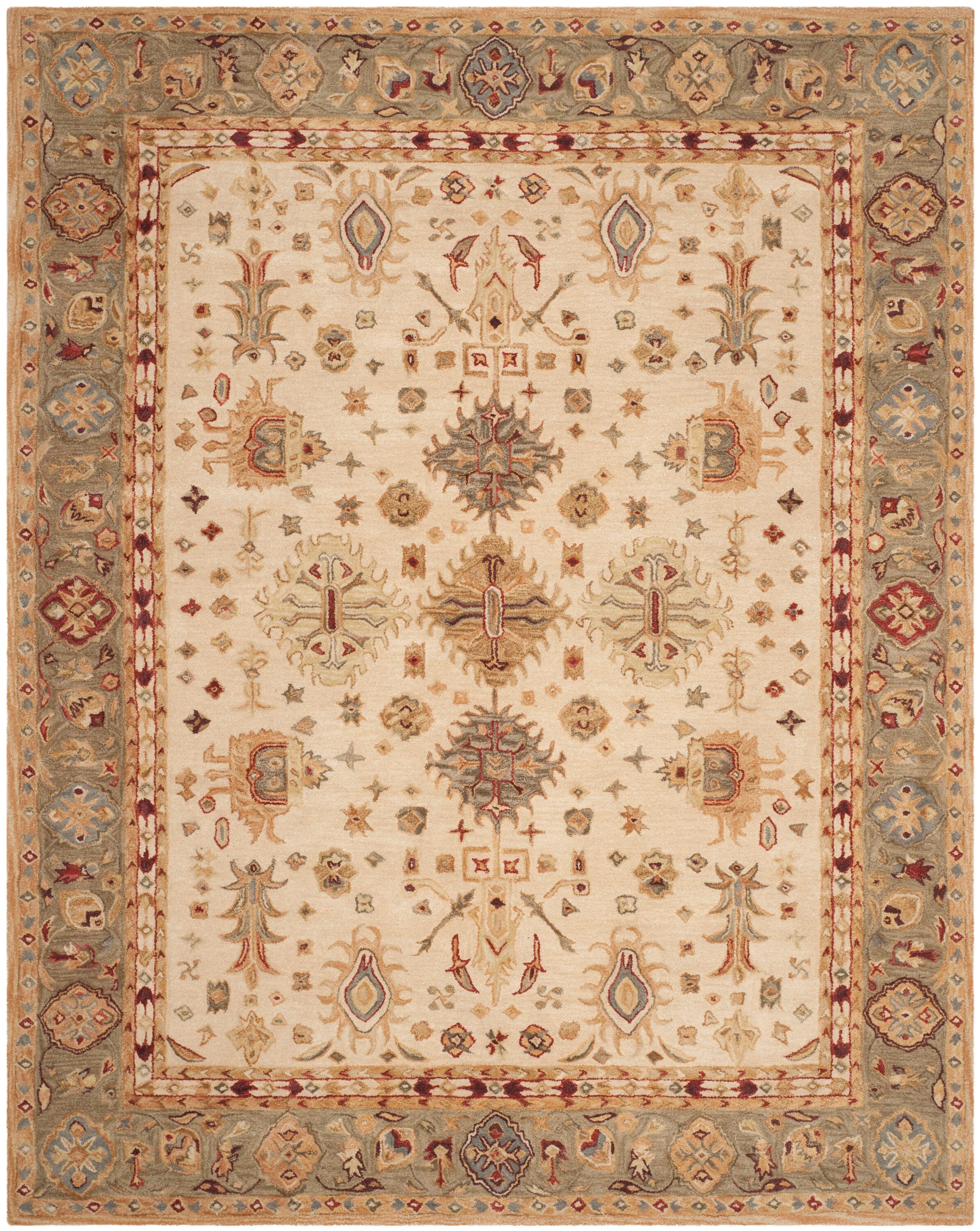 Safavieh AN547B-10 rugs - View #2