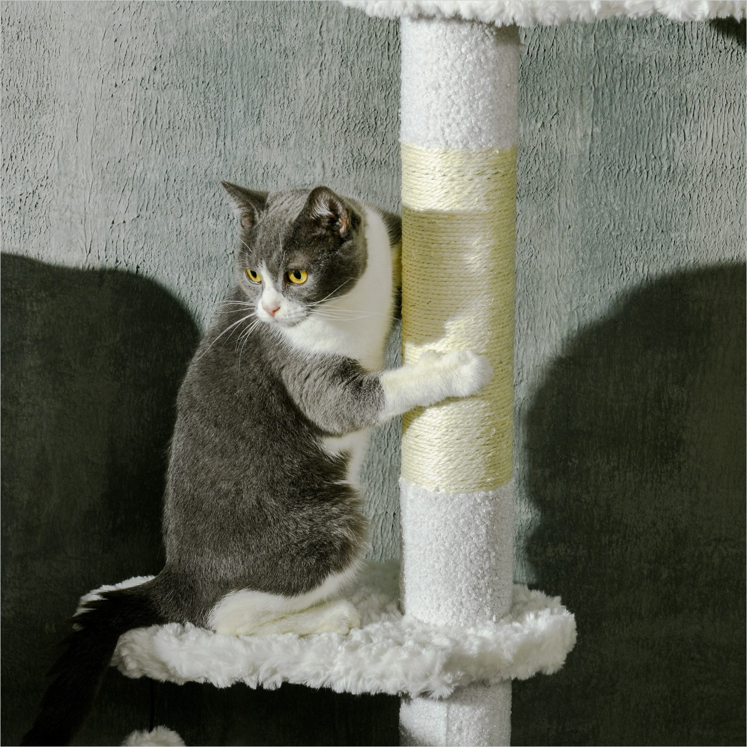 SunJet Q5YVHMLE3N3Z Cat-Litter-Box - View #3