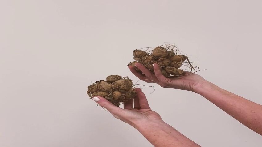 A thumbnail for the video