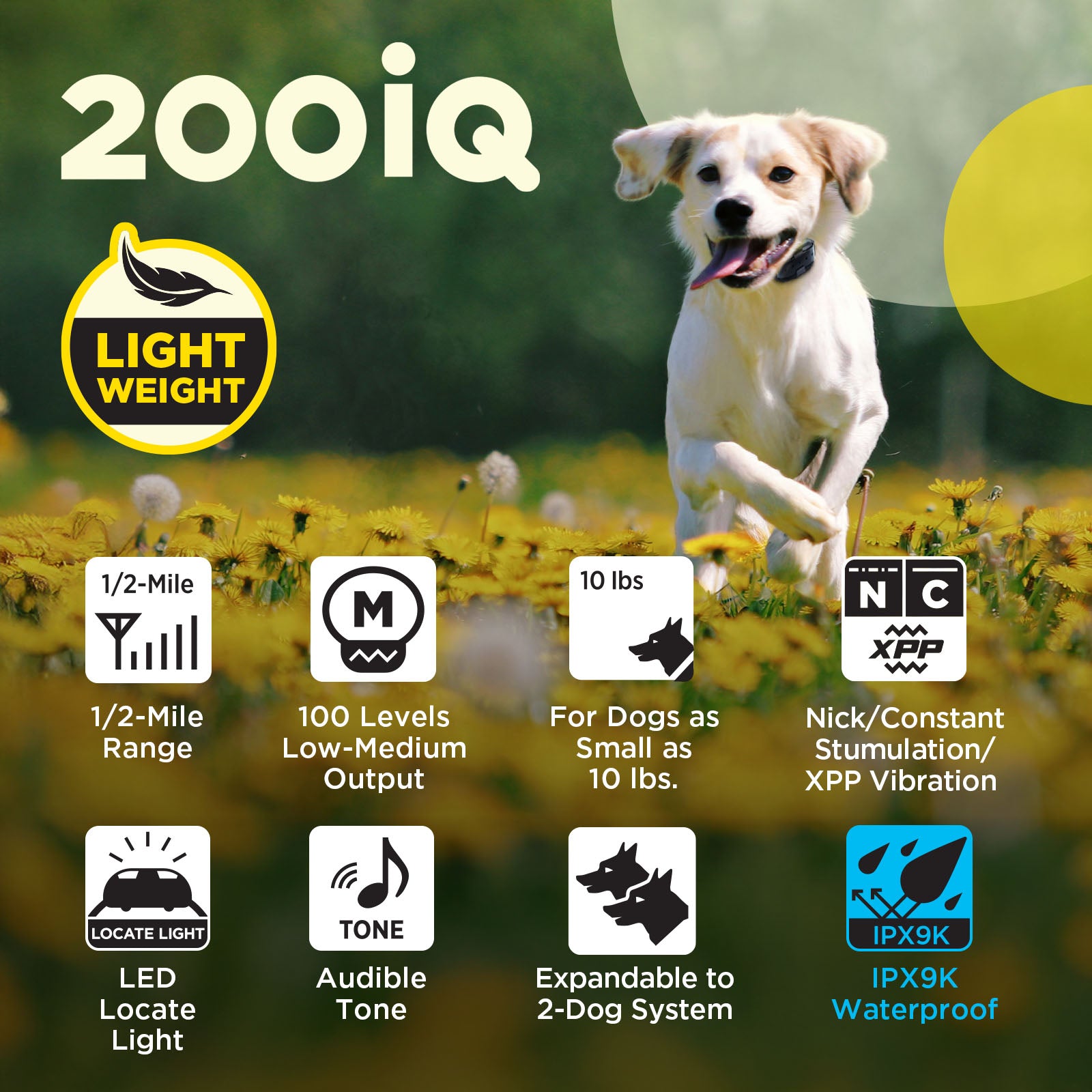 Dogtra 644622021212 Pet-Training-Collars - View #2