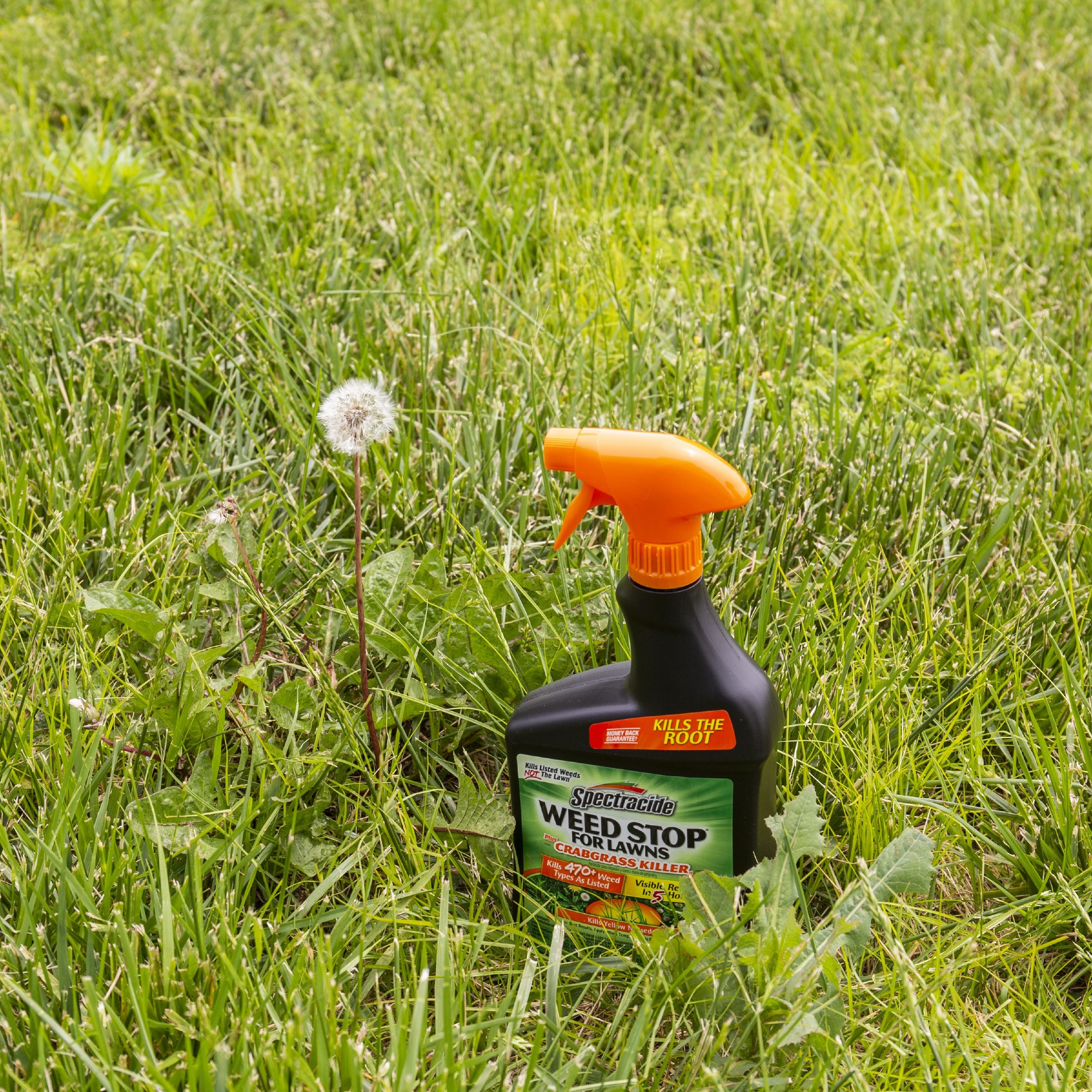 Spectracide Weed Stop For Lawns Plus Crabgrass Killer 32-fl oz Trigger ...