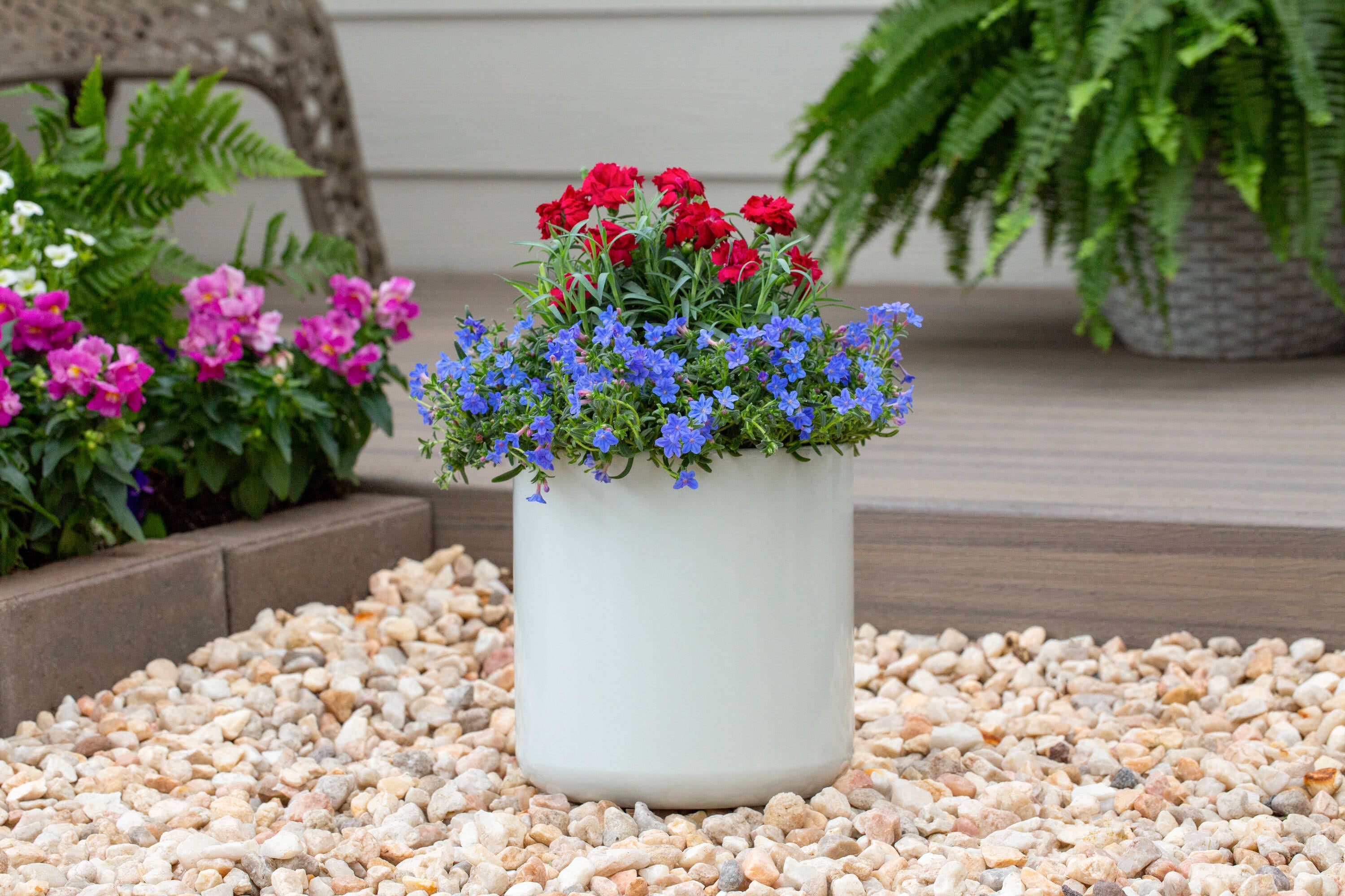Monrovia NURSERY perennials - View #3