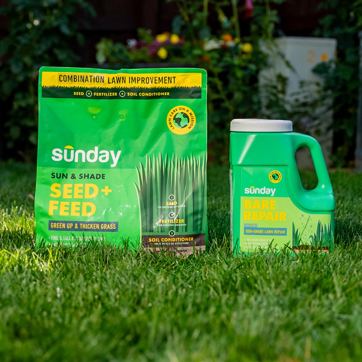 Sunday FB4159 Grass-Seed - View #2