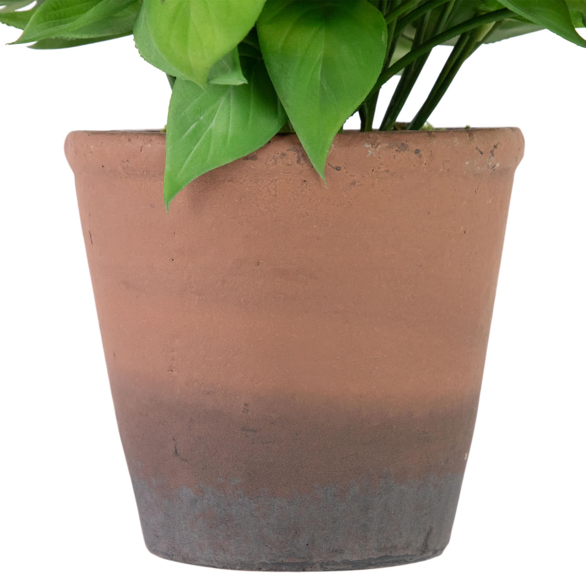 Northlight NORTHLIGHT SM99510 Artificial-Plants-Trees - View #4