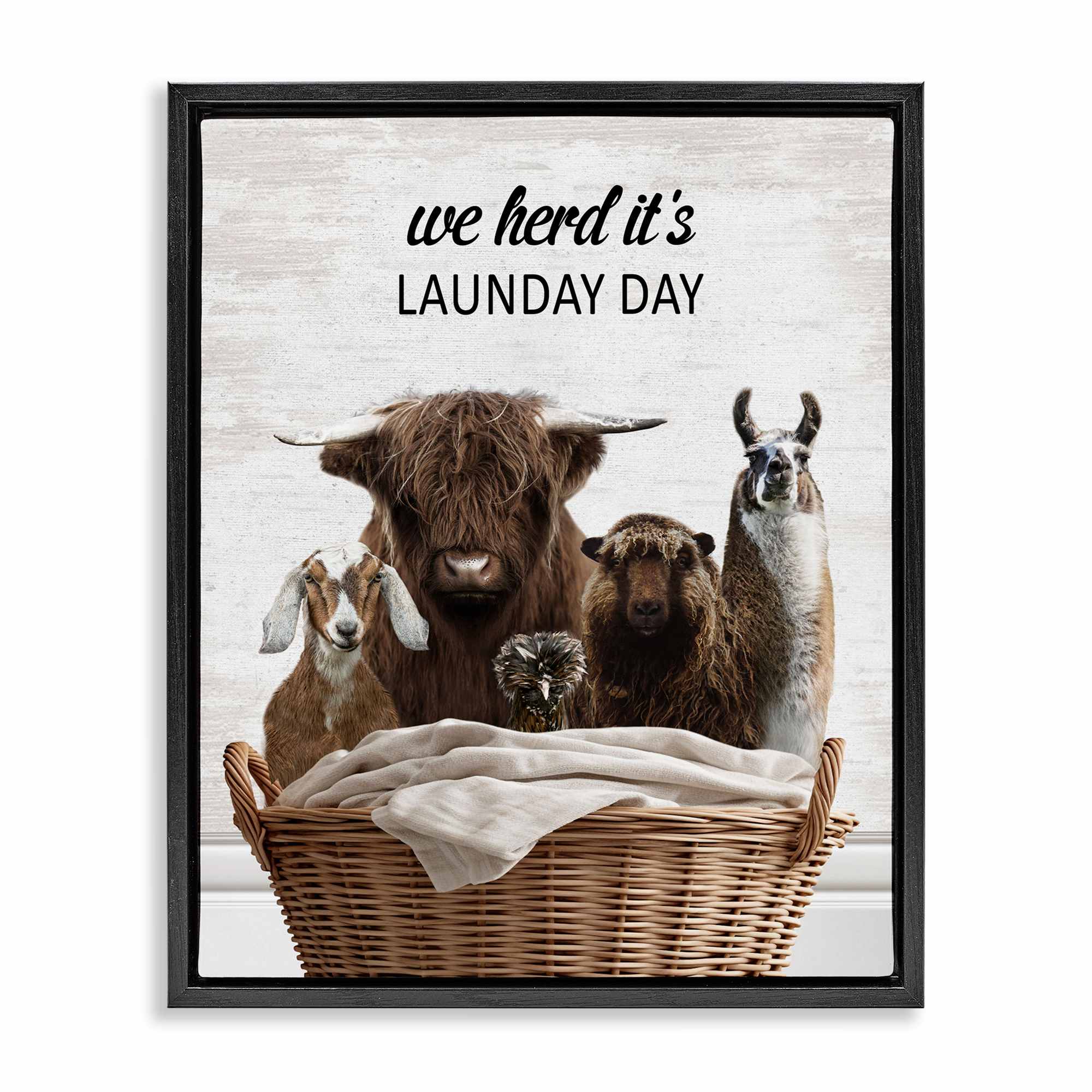 Stupell Industries BS-893-FFB-16X20 Herd Its Laundry Day Animals Black Framed Floater Canvas Wall Art By Lettered and Lined 17 x 21