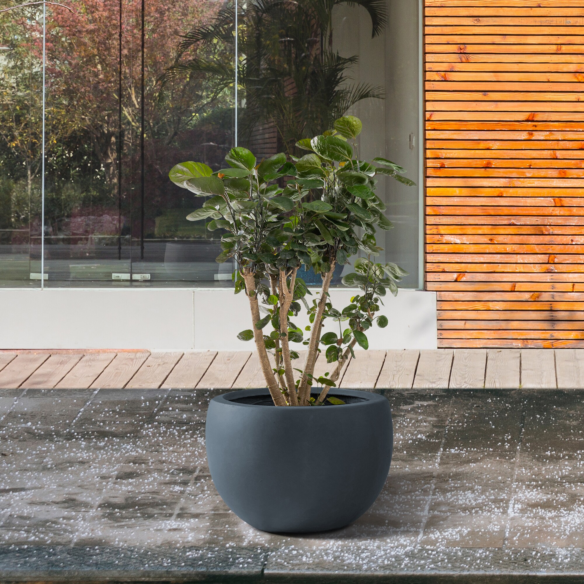 modern outdoor pot plants