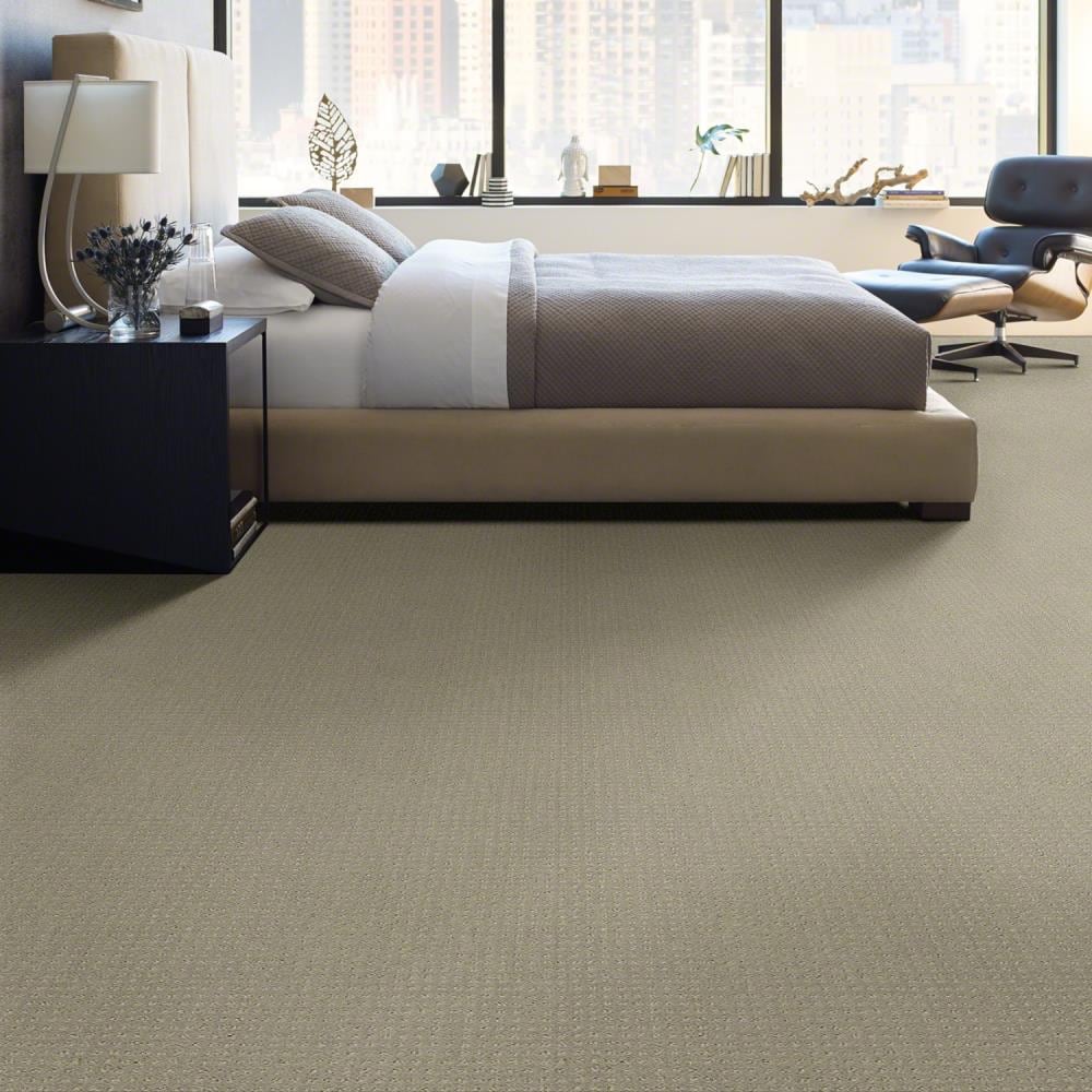 Stainmaster Signature Pathway Lady In Gray Pattern Indoor Carpet In The 