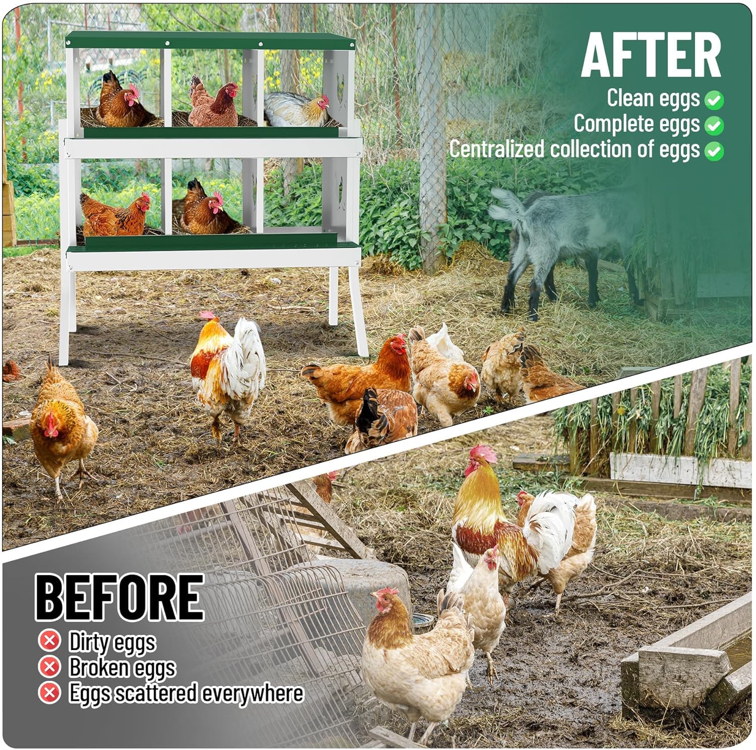 Qeetex WLS-PHO-348SMHG9 Chicken-Coops-Rabbit-Hutches - View #6