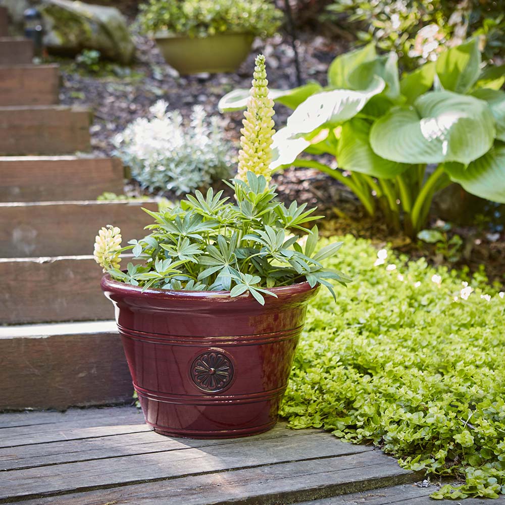 Southern Patio HDP-012498 Planter-Window-Box - View #4