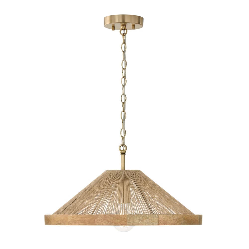 Capital Lighting 252811MA flushmounts - View #5