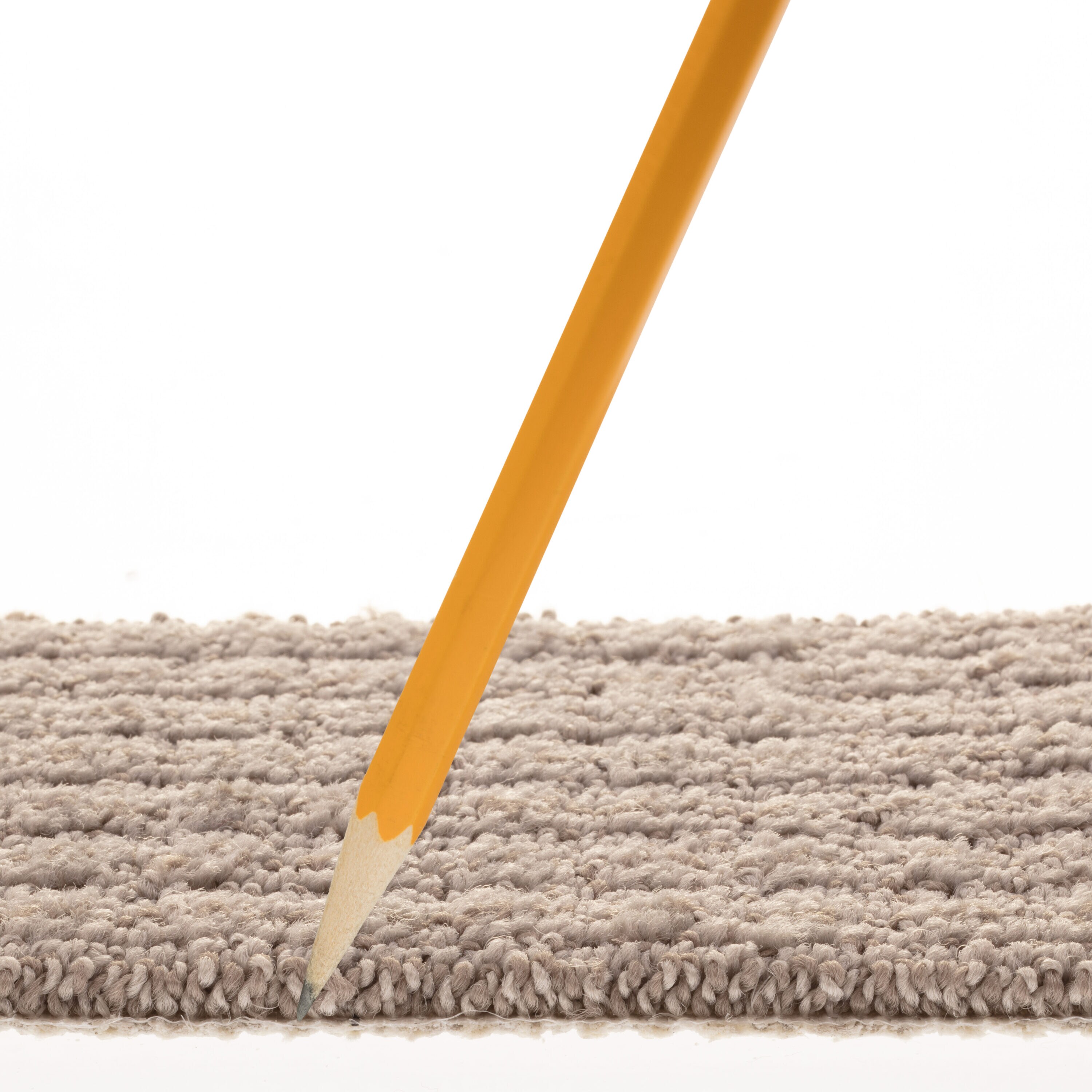 STAINMASTER PetProtect 7L885 - 503 - SAMP Carpet-Samples - View #7