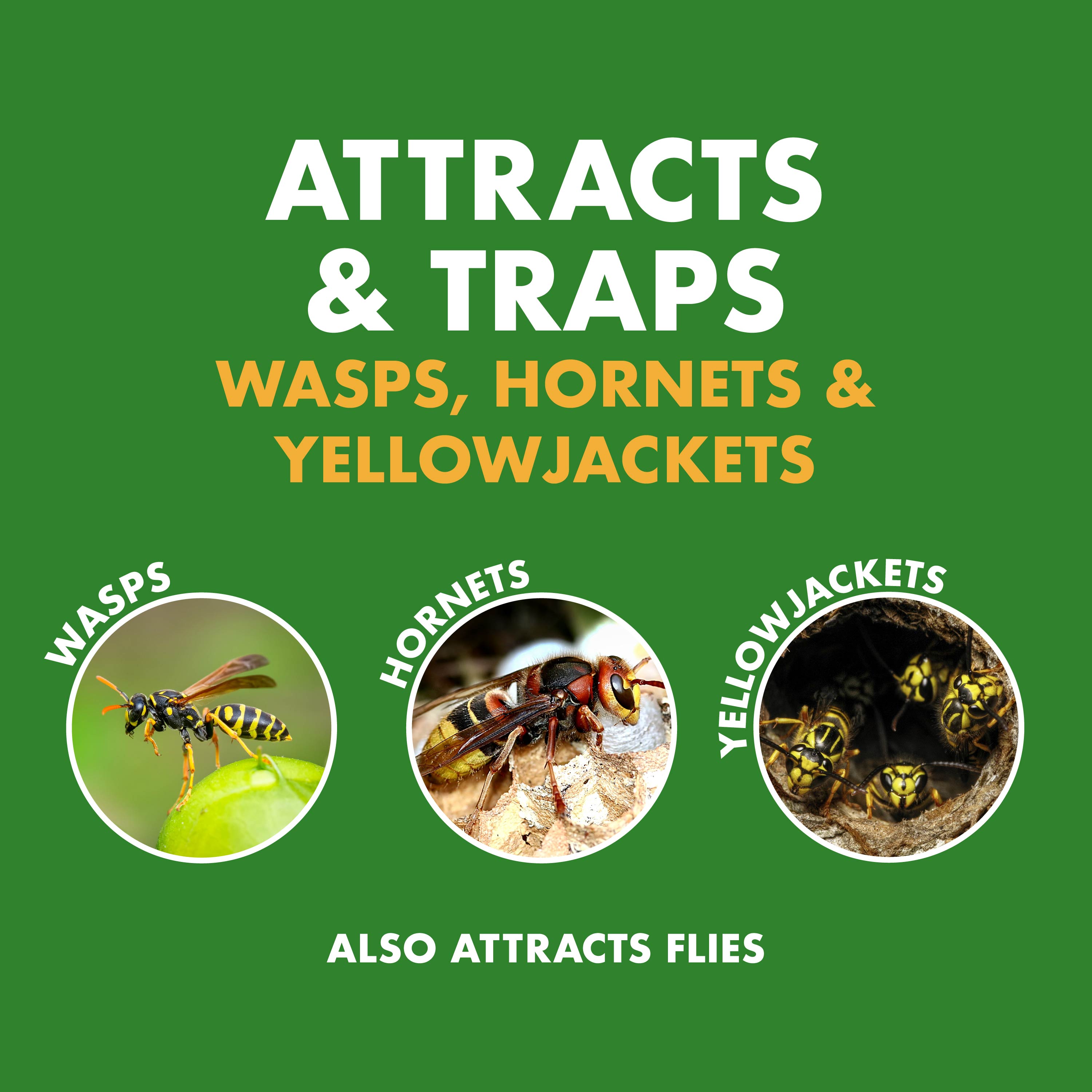 Spectracide Wasp, Hornet, Yellow Jacket, and Fly Trap Outdoor Insect trap