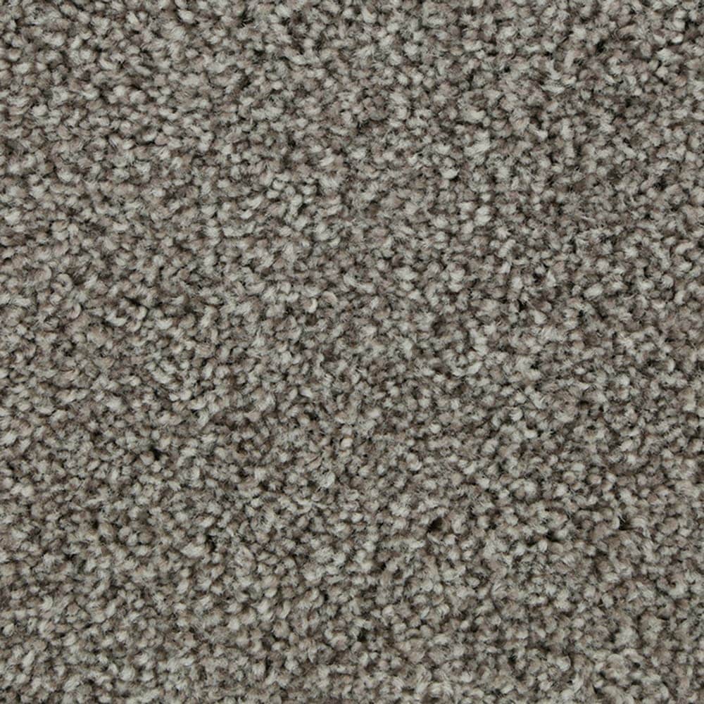 STAINMASTER STP51-15-L005 Calming Stride II Shadow Taupe Gray 60-oz sq yard Triexta Textured Indoor Carpet