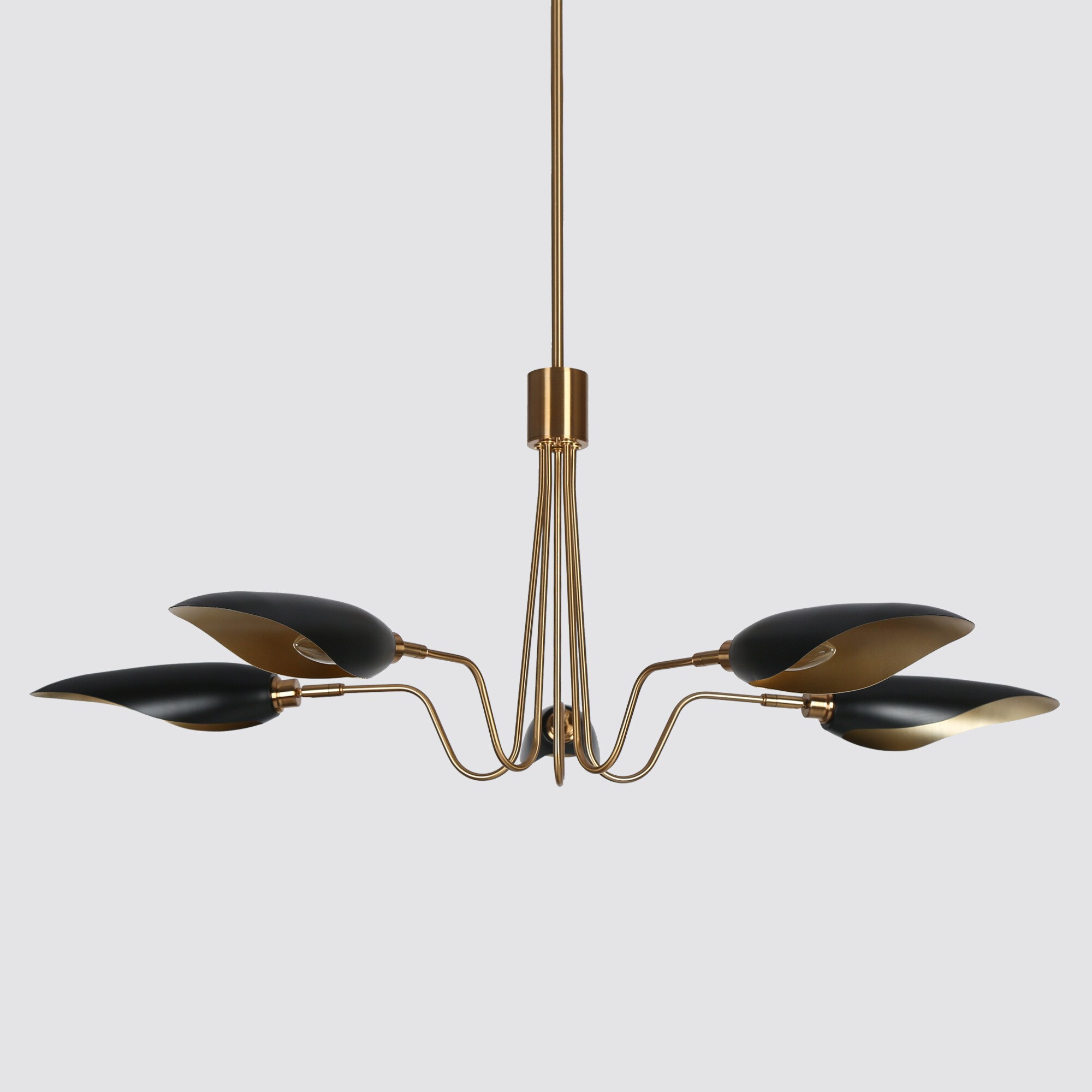 ZEVNI L3AVYUMQW41C5S88 b090015 - View #8