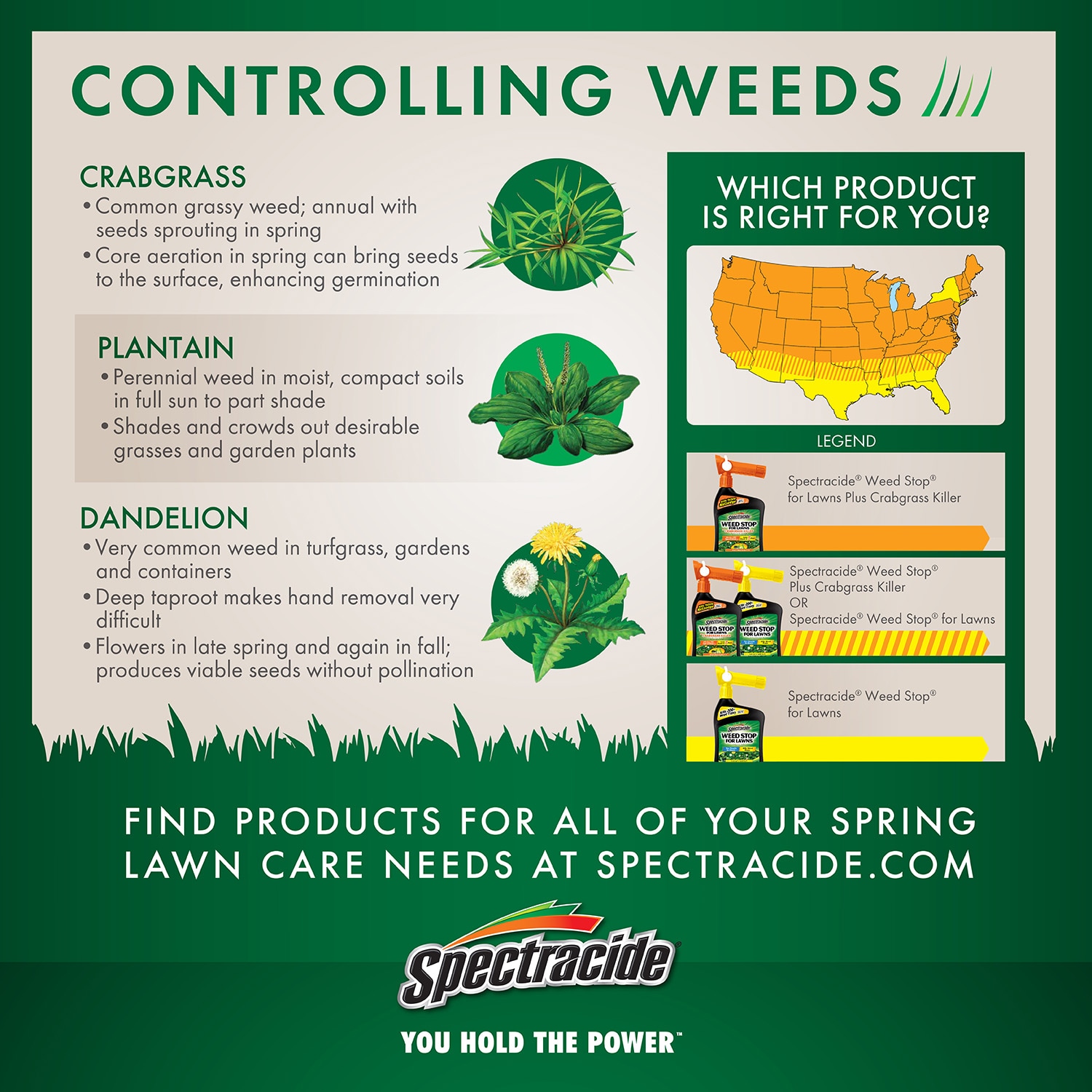The Pros & Cons of Grinding Weed - WeedSeedShop