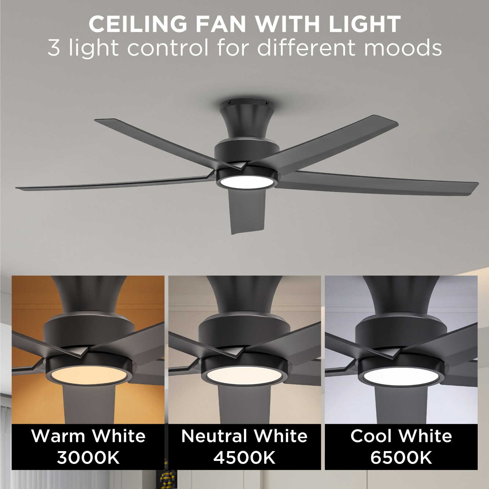 Cuschoice MDHK1-69-CF Ceiling-Fans - View #3