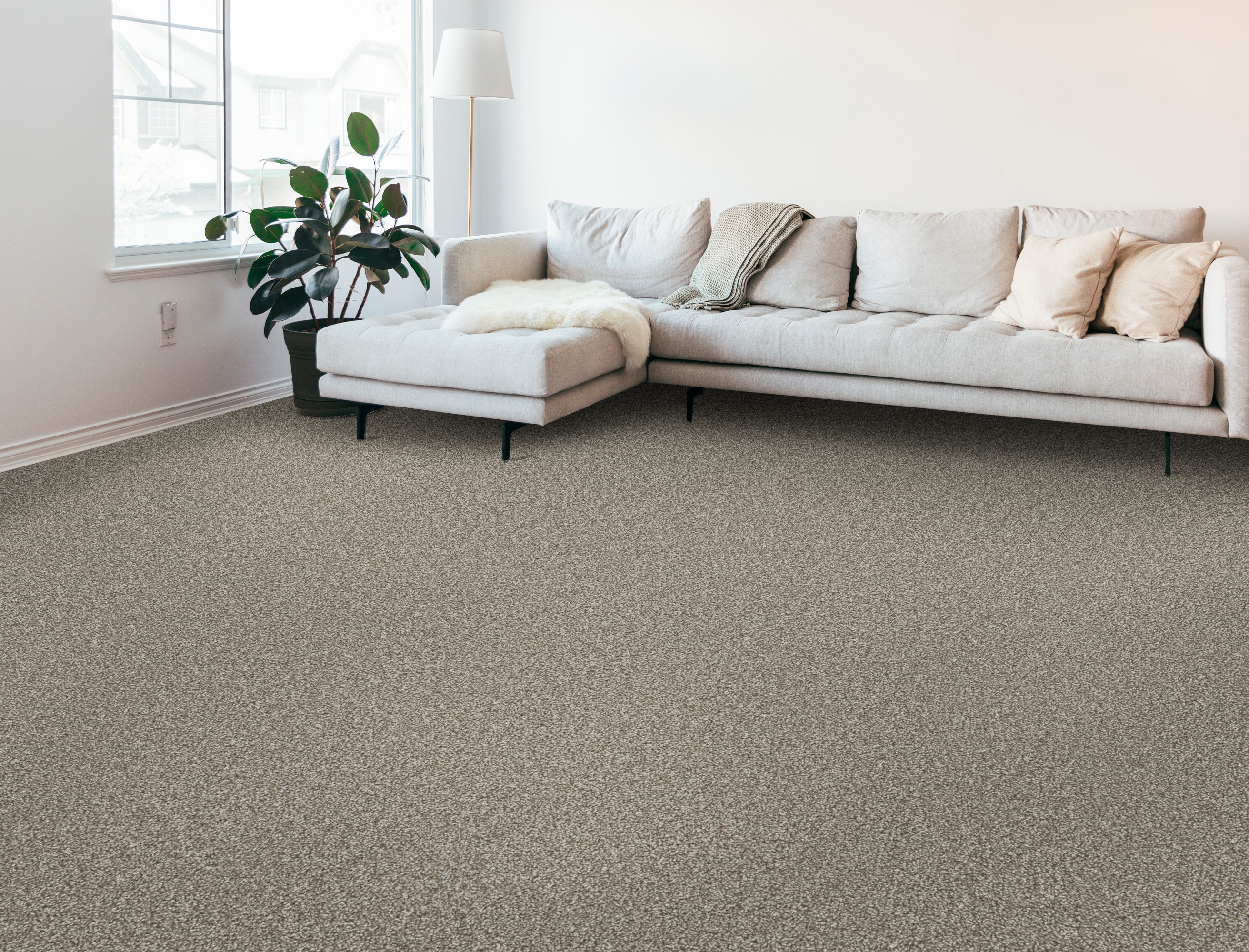 STAINMASTER PetProtect 7L92800734 Carpet-Panel - View #2