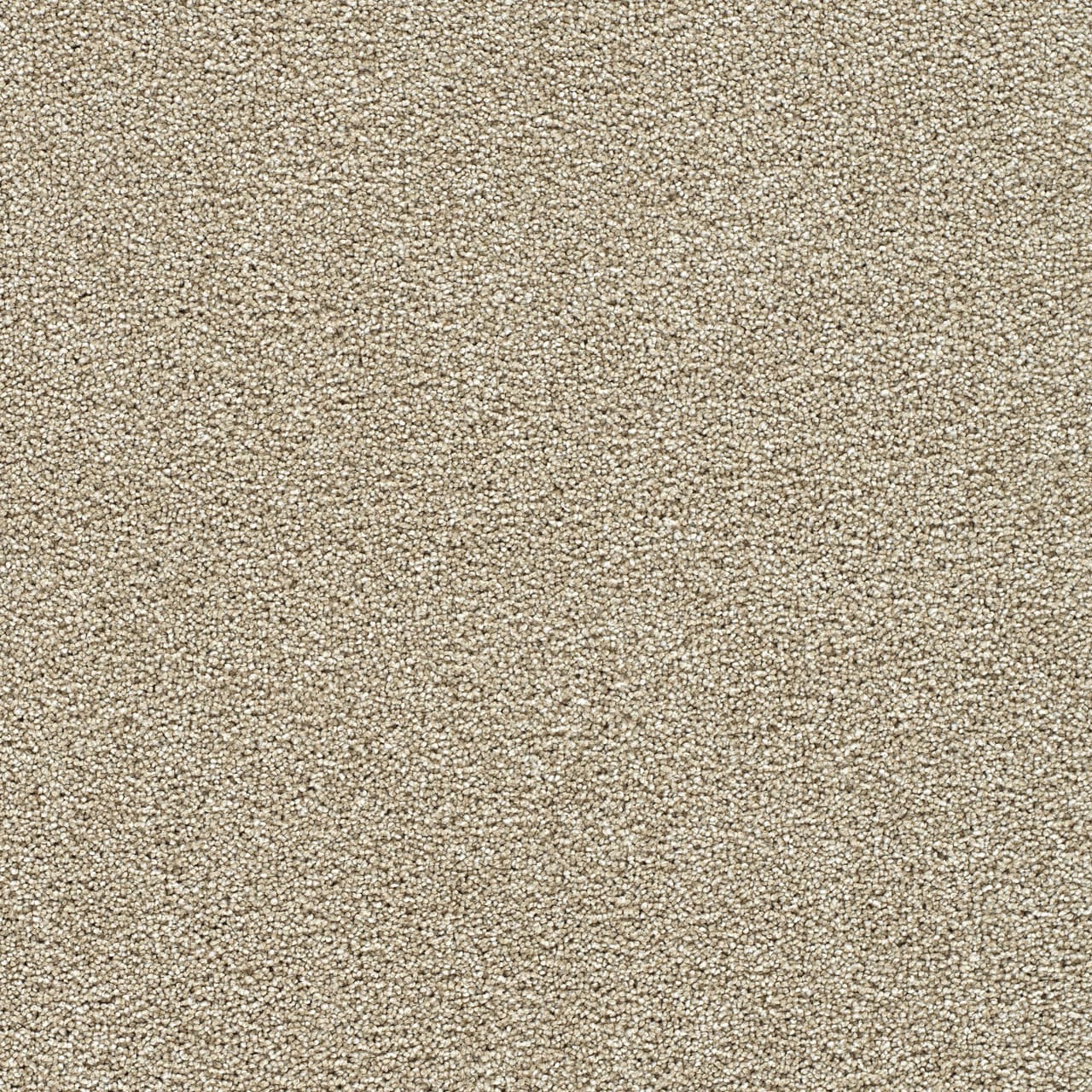 STAINMASTER L5016-1506-1200-AB Over The Moon II Elated Tan 50-oz sq yard Solution-dyed polyester Textured Indoor Carpet