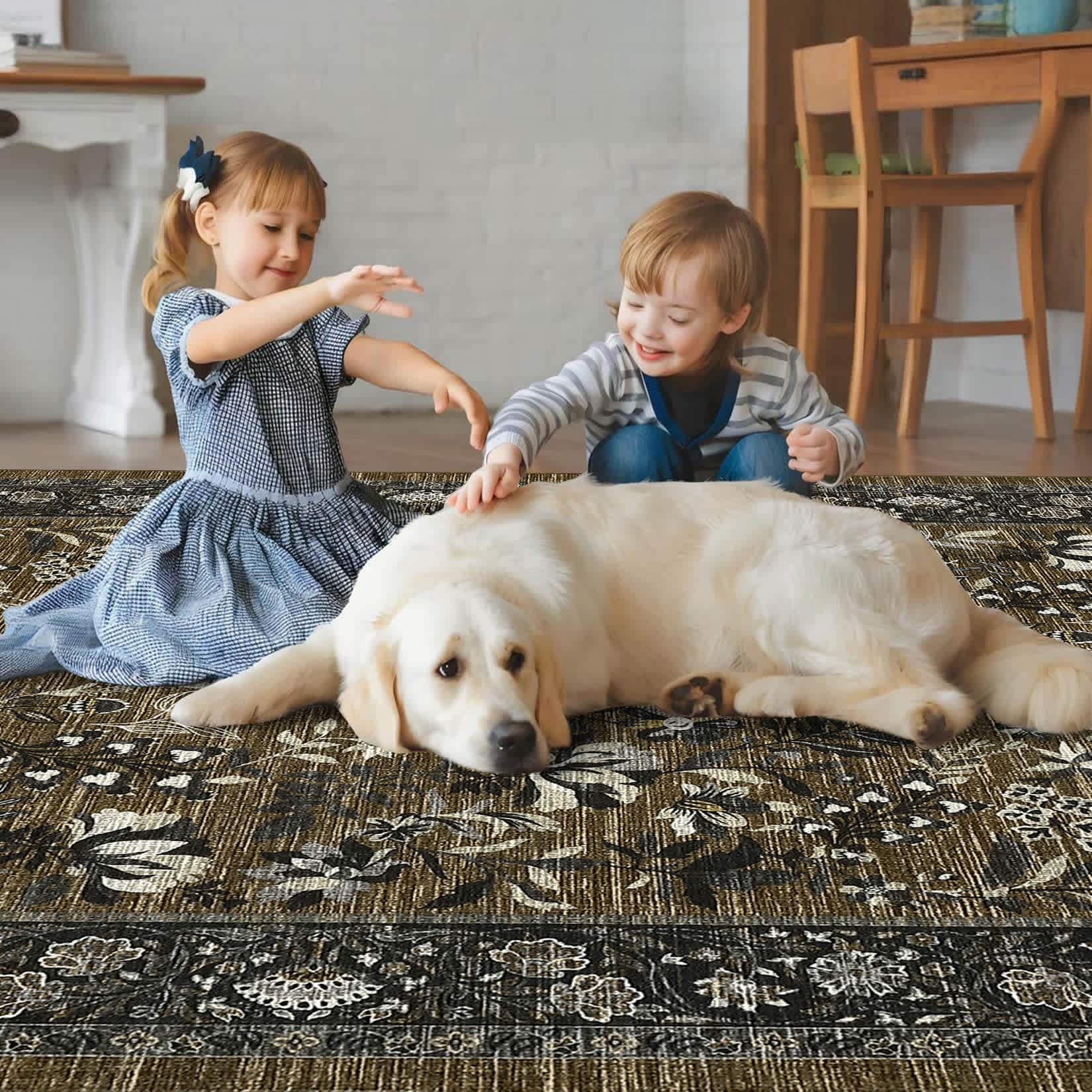 Qeetex LSN-PHK-34RLTQT3 rugs - View #6