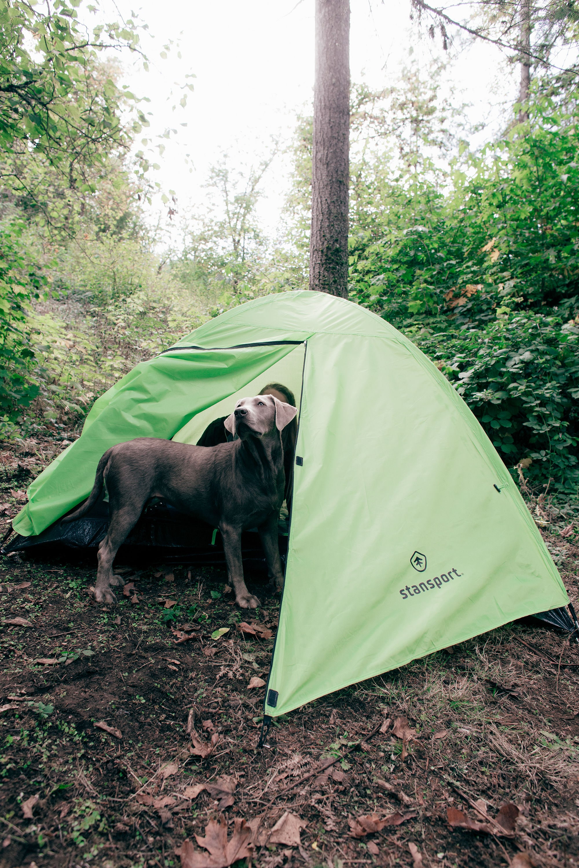 Starlite I Mesh Backpack Tent with Full Rain Fly