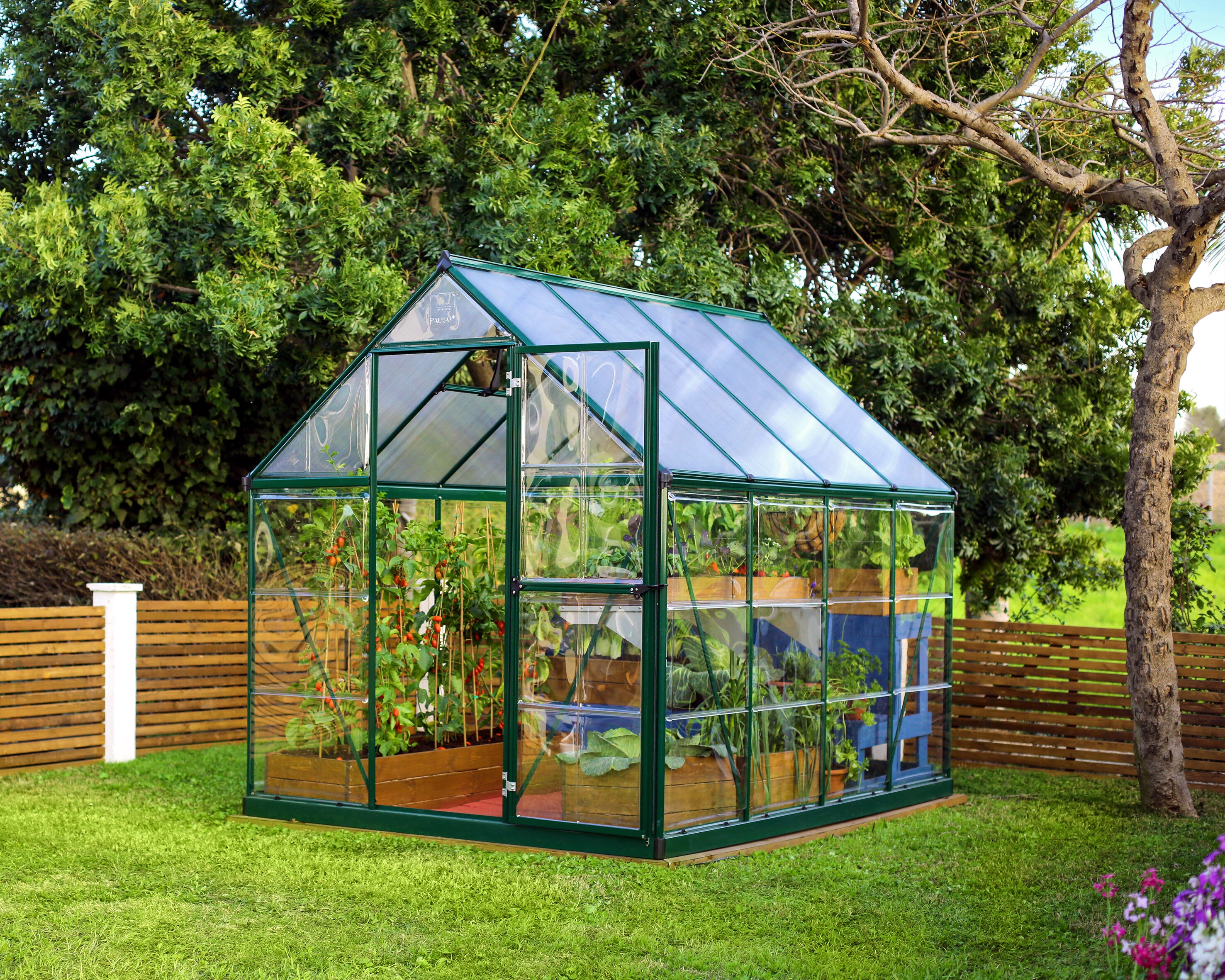 Canopia by Palram 705664 greenhouses - View #3