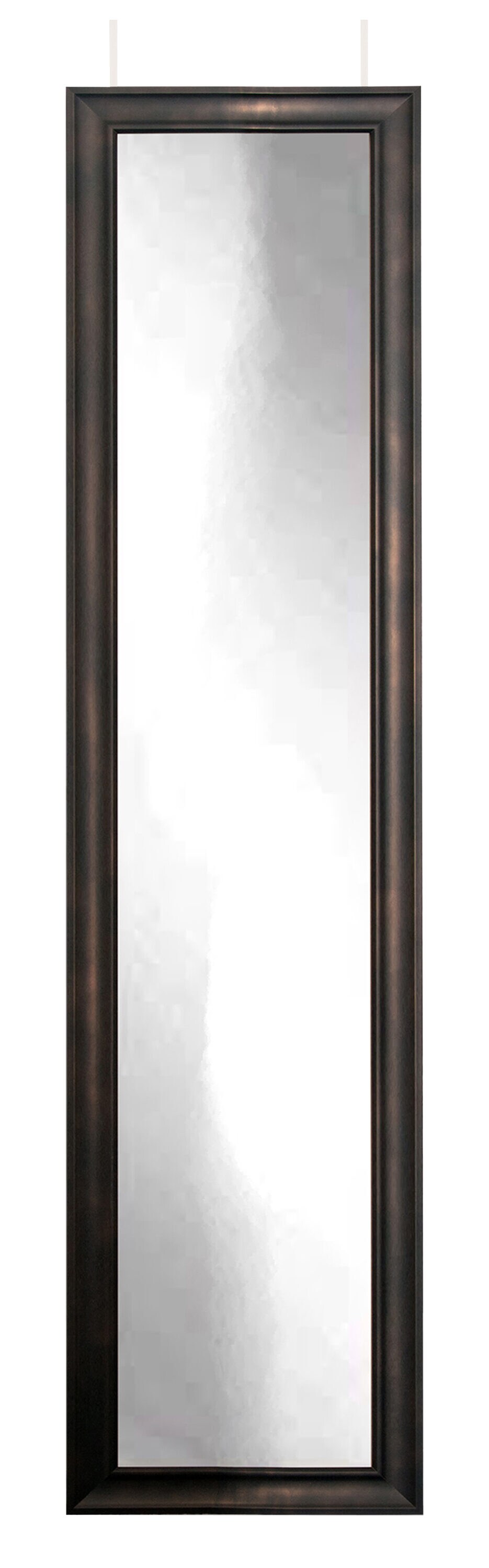 Brandtworks 195 In W X 69 In H Bronzeclouded Framed Full Length Door Mirror At