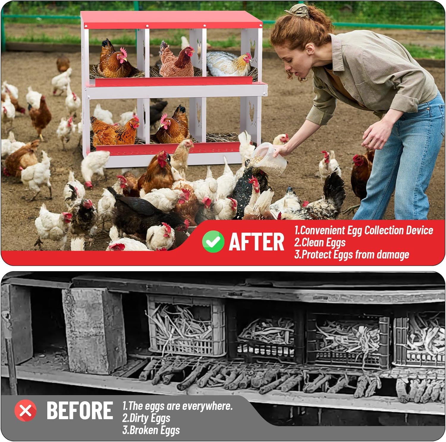 Qeetex GGL-PHO-348SAPGG Chicken-Coops-Rabbit-Hutches - View #4