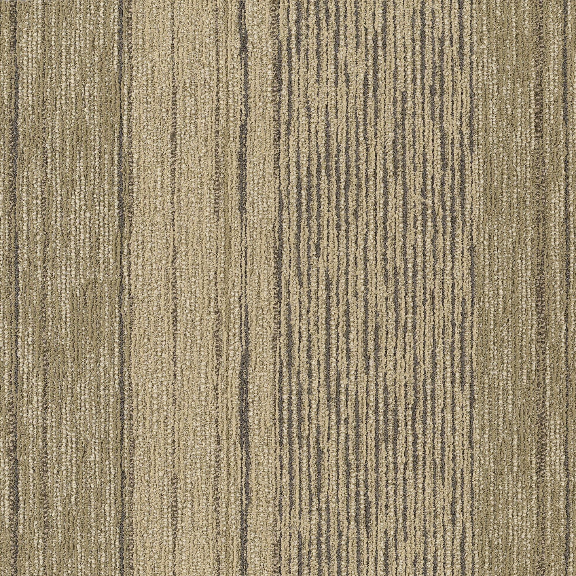 Shaw 7L80600305 Off The Cuff 24-in x 24-in Improvisation Green Commercial Adhesive Indoor Carpet Tile ( 48-sq ft )