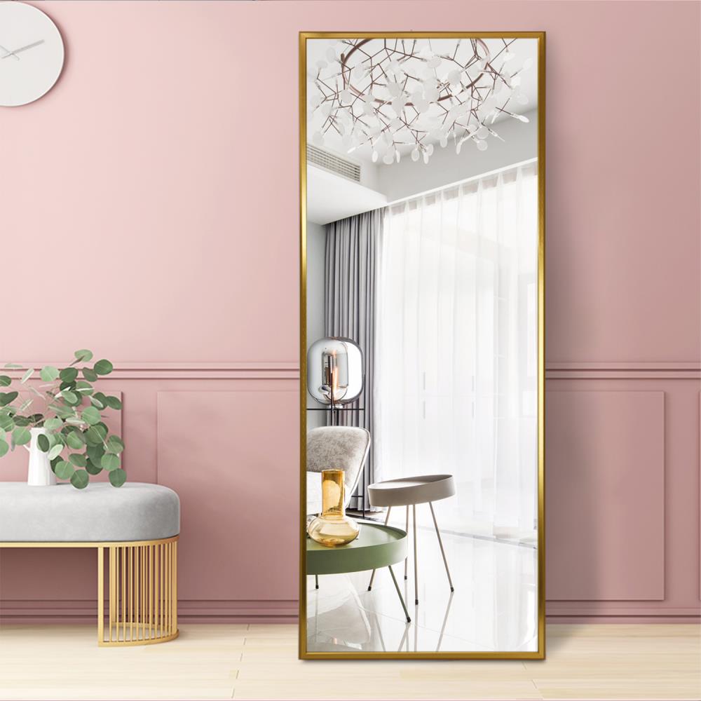 NeuType 21-in W x 64-in H Gold Framed Full Length Floor Mirror at Lowes.com