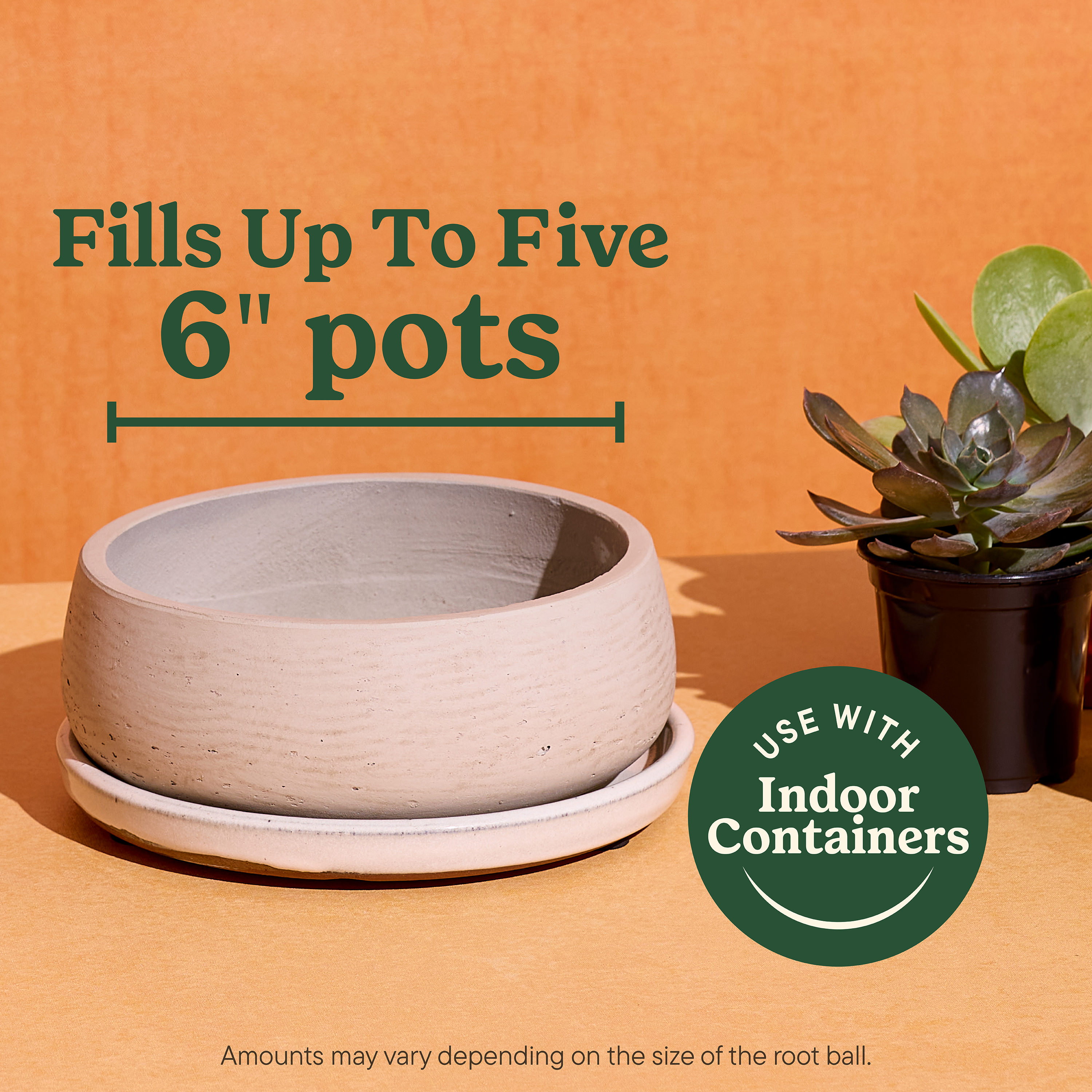 Miracle-Gro Indoor Potting Mix 8 Quart(s) Cactus soil Potting soil mix ...