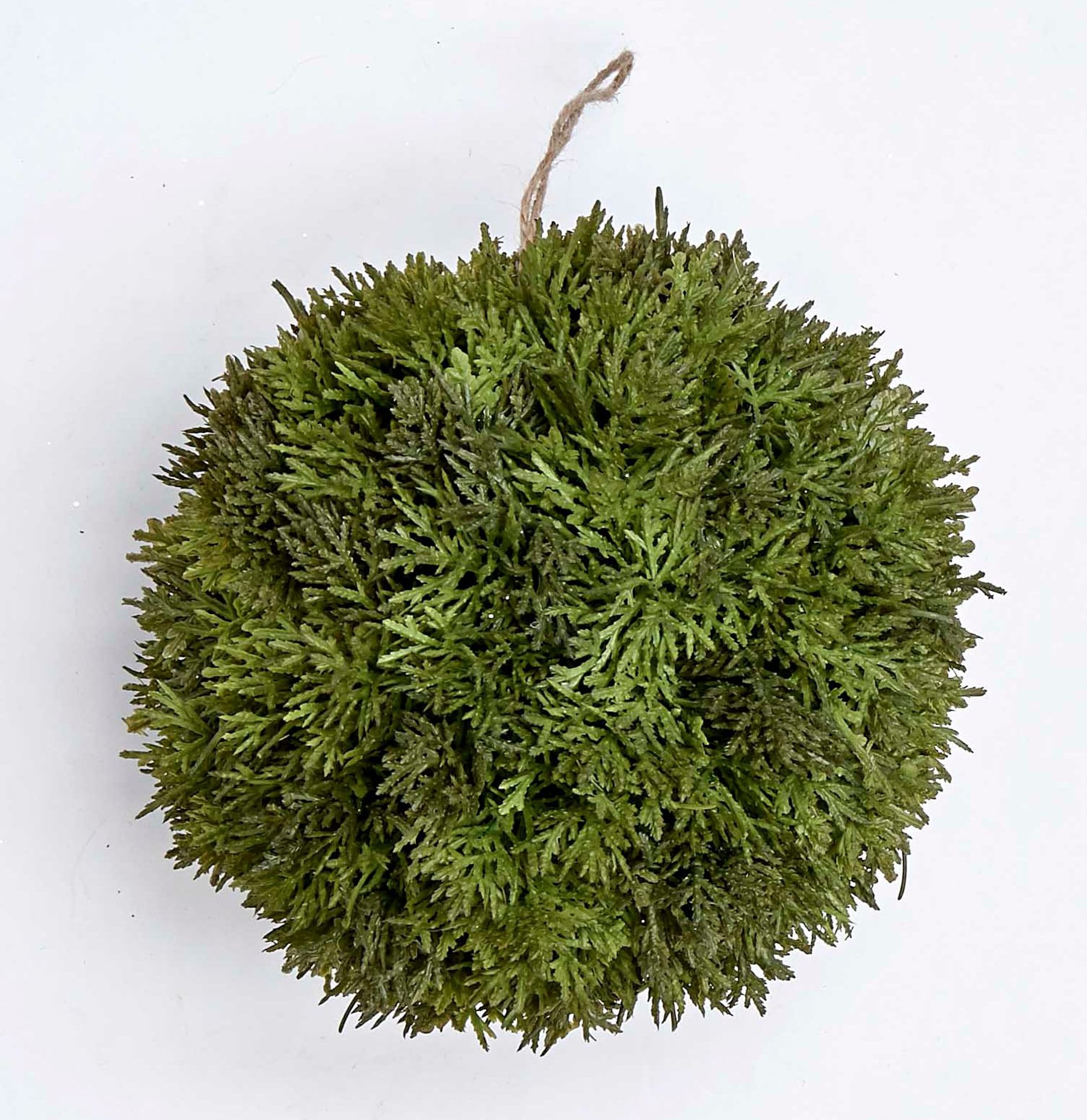 Worth Imports 7055 8-Inches Holly Christmas Decor