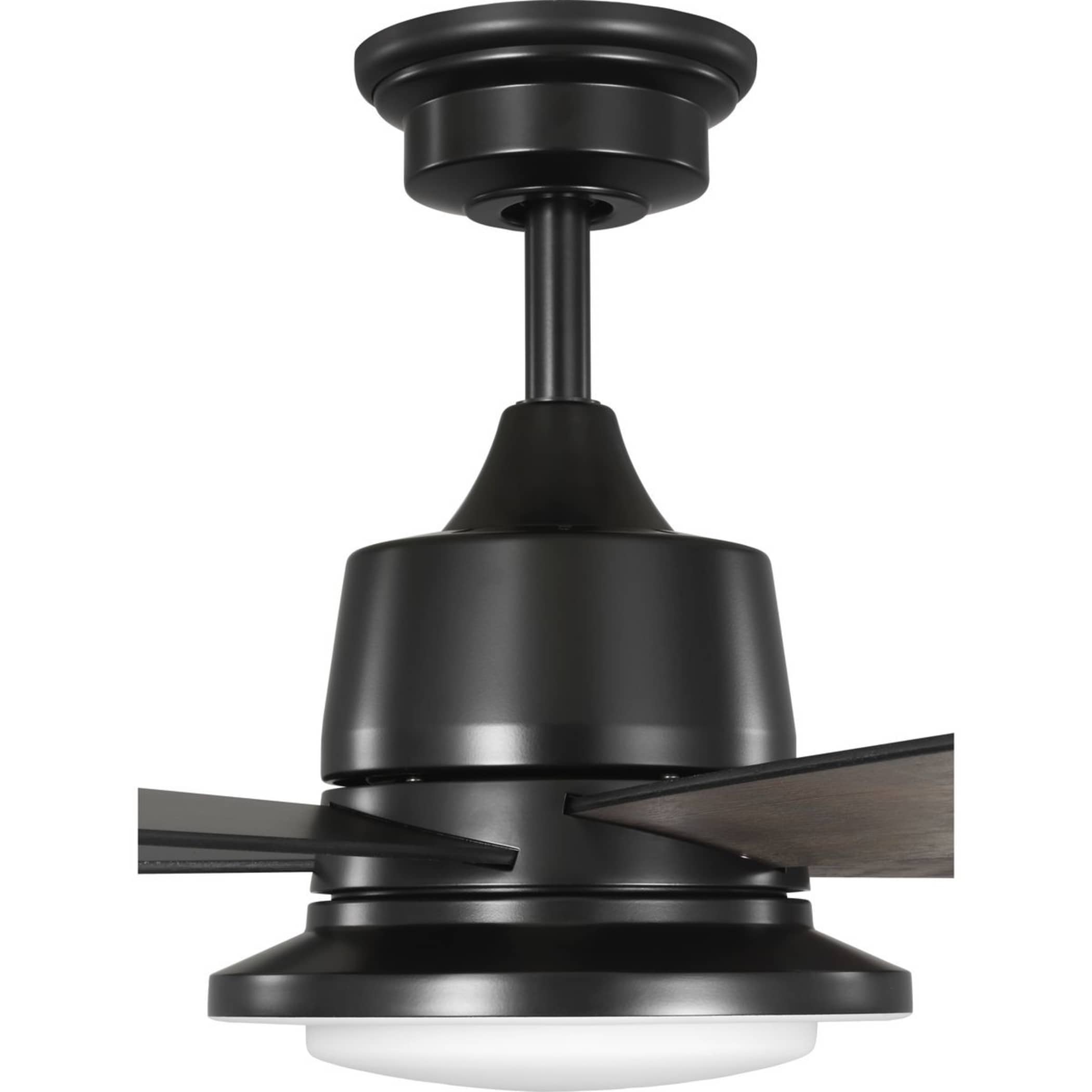 Progress Lighting P250102-31M-CS Ceiling-Fans - View #12