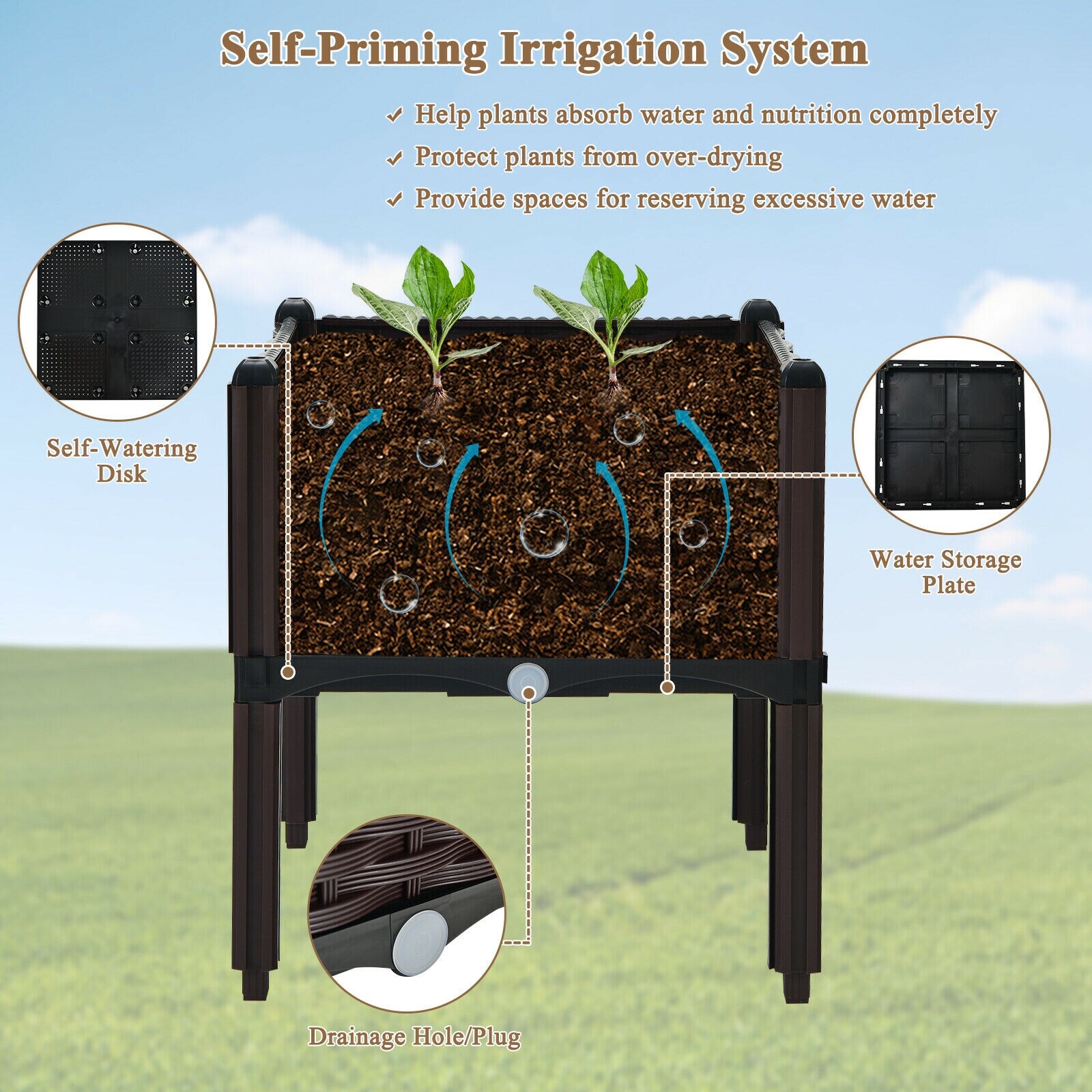 Forclover CTWE-GT3742BN Raised-Planter-Boxes - View #3